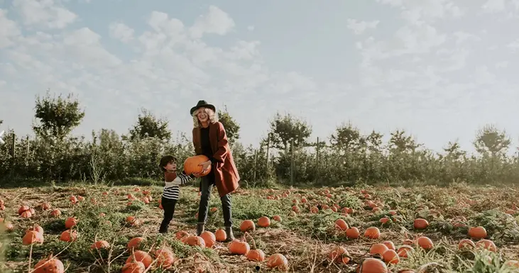 Vancouver Pumpkin Patches to Visit in Fall 2024