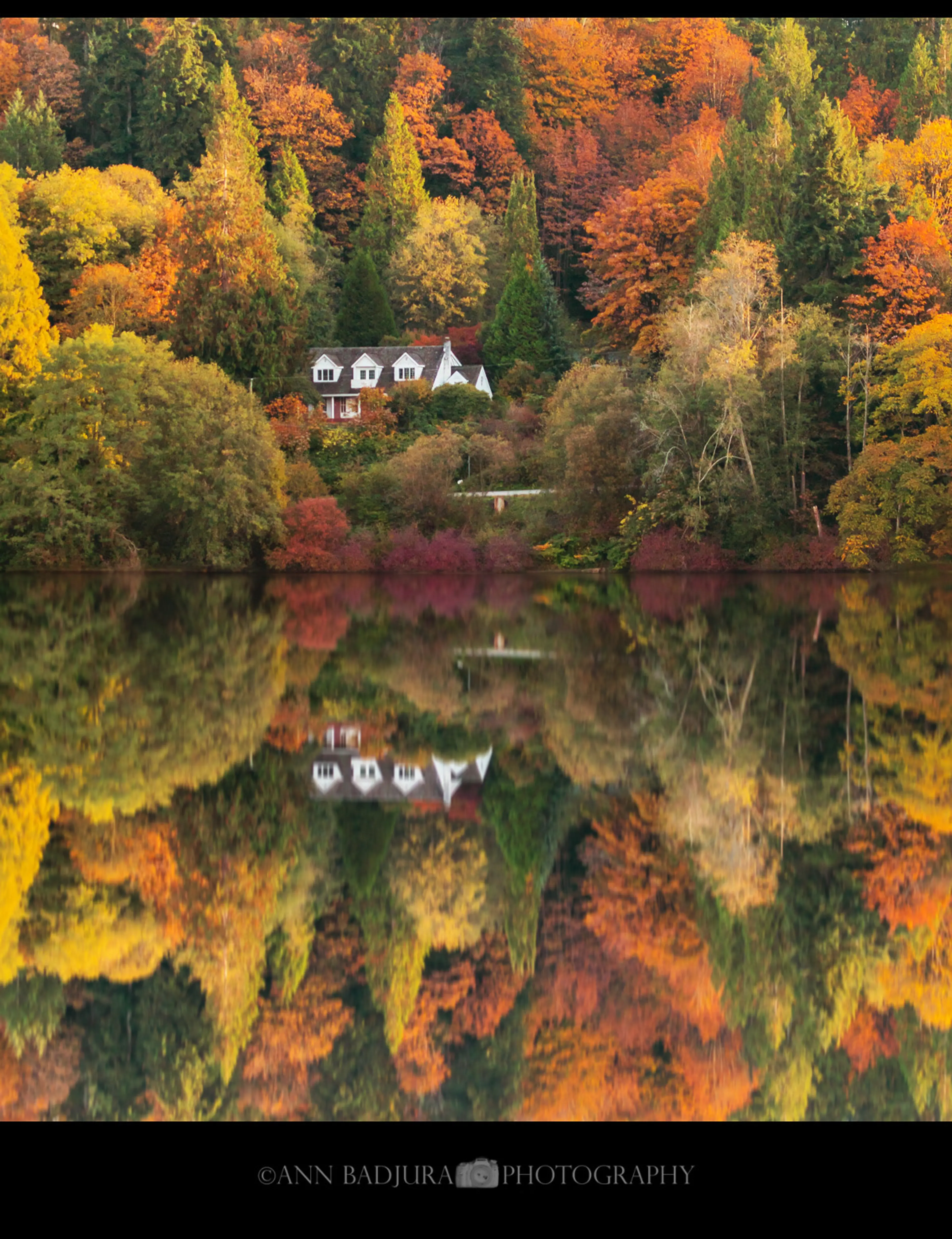 Fall colours at Deer Lake in Burnaby