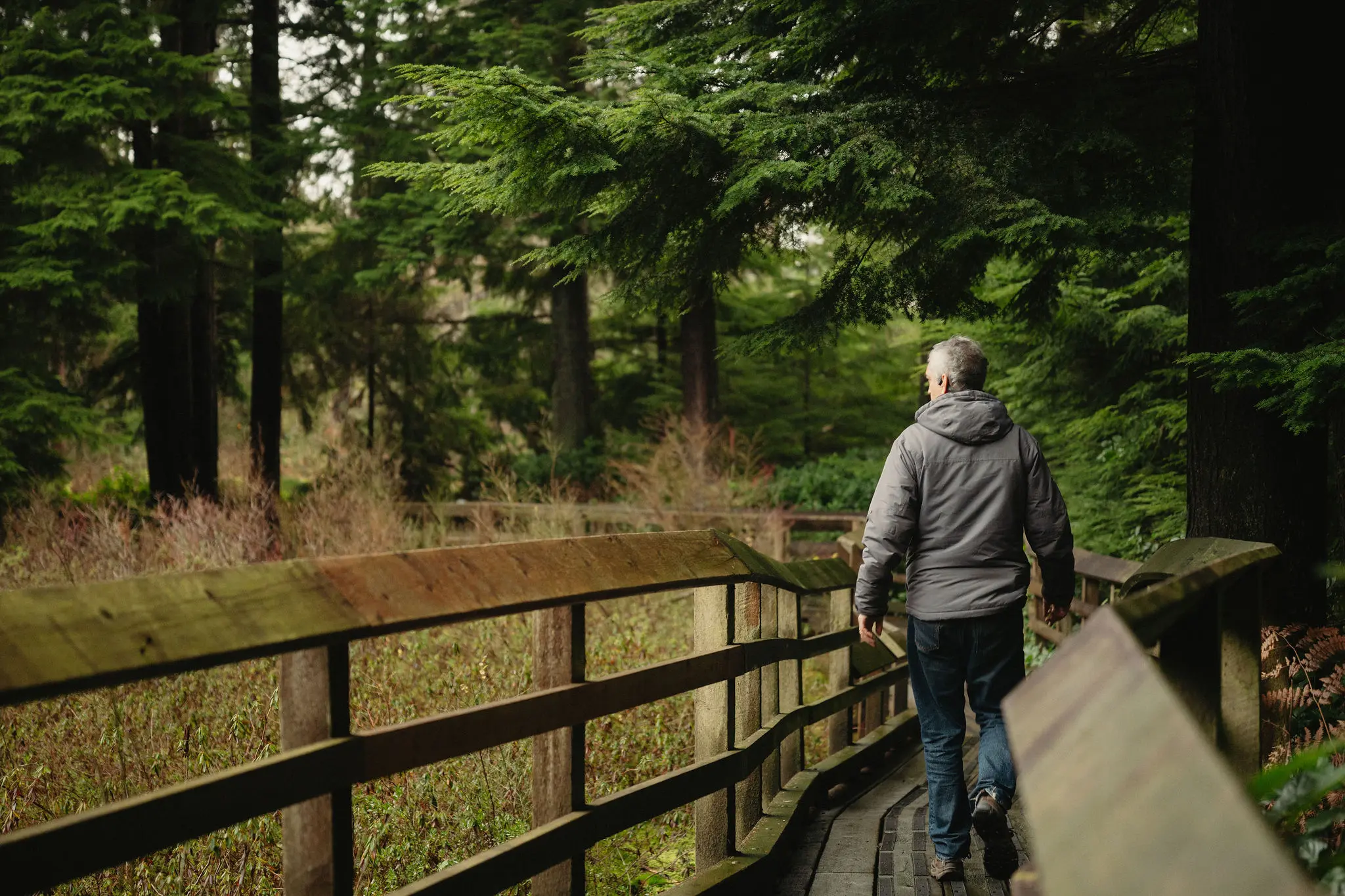 A man hiking in Pacific Spirit Park in Vancouver.