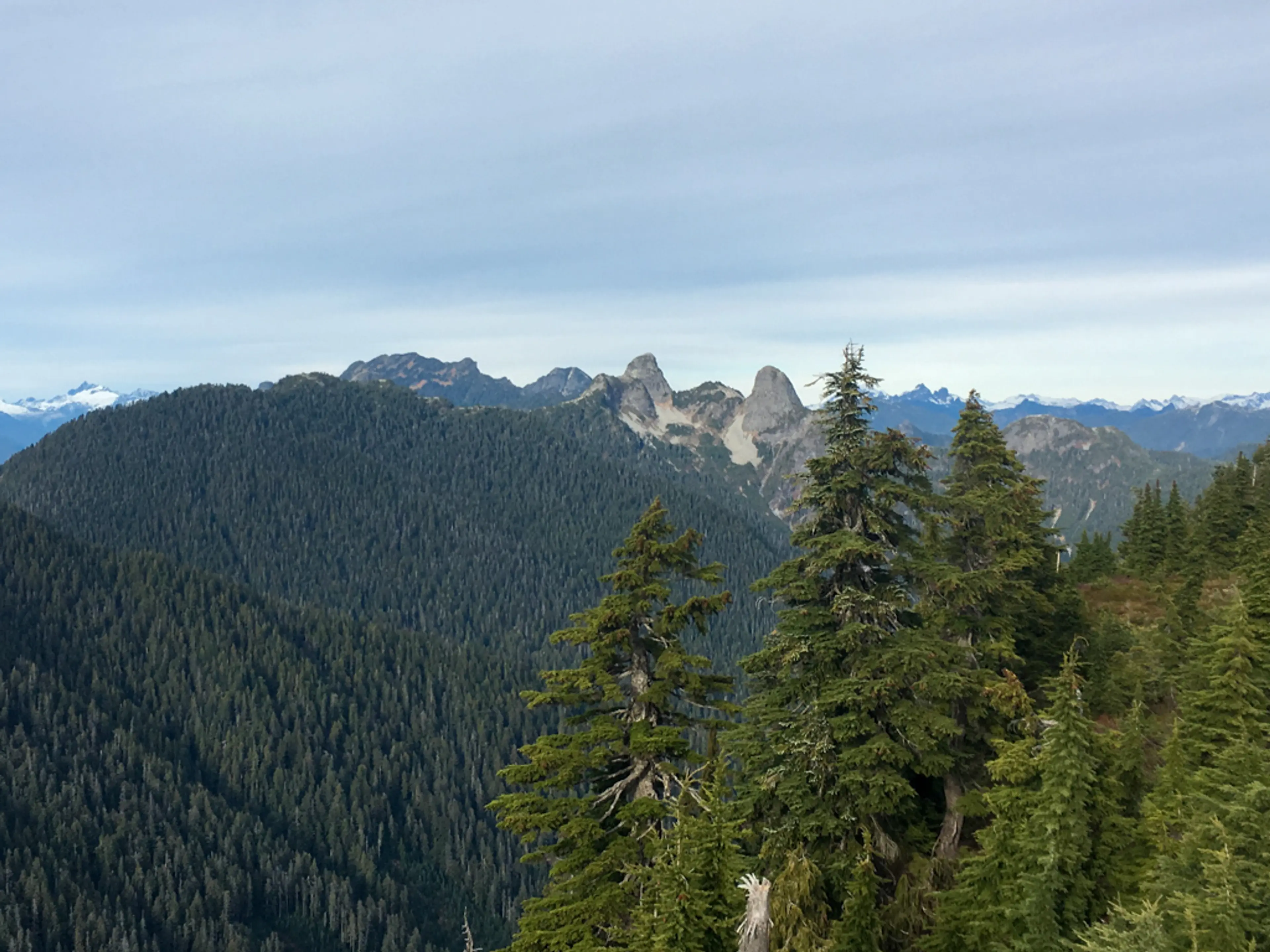 The Lions from Mount Strachan near Vancouver, BC