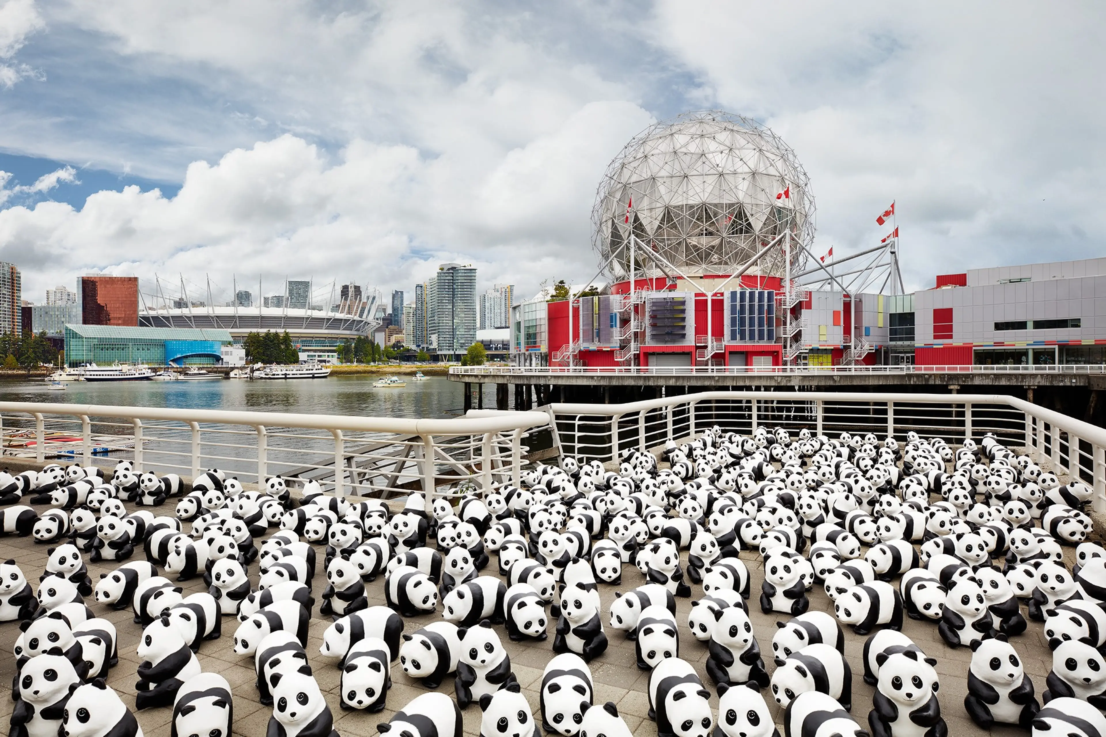 1600 Pandas+ World Tour in Canada on exhibit at  Metropolis at Metrotown from July 10 to August 8, 2018