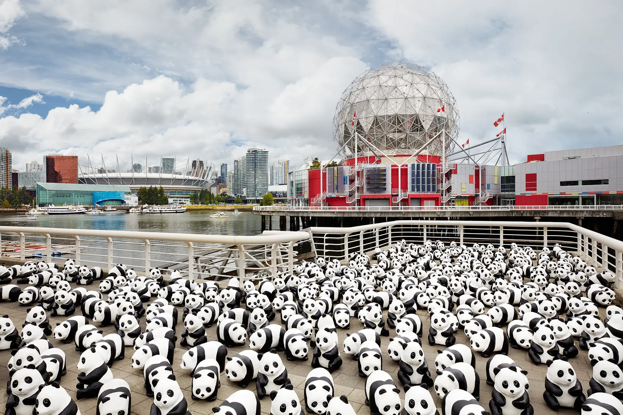 1600 Pandas+ World Tour in Canada on exhibit at  Metropolis at Metrotown from July 10 to August 8, 2018