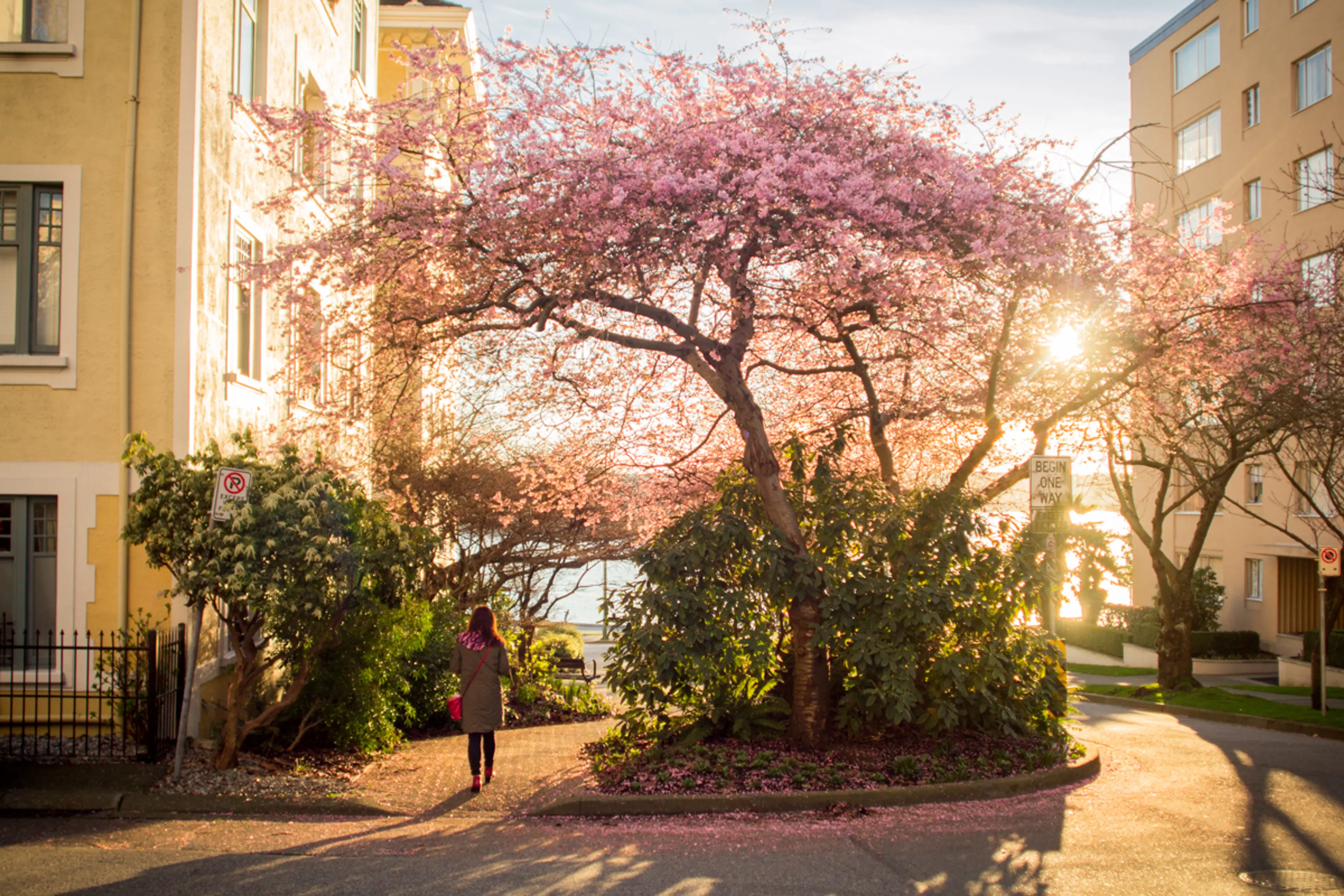 7 Ways to Enjoy Spring