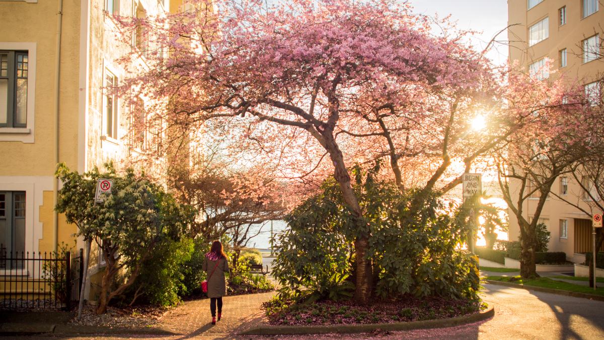 7 Ways to Enjoy Spring