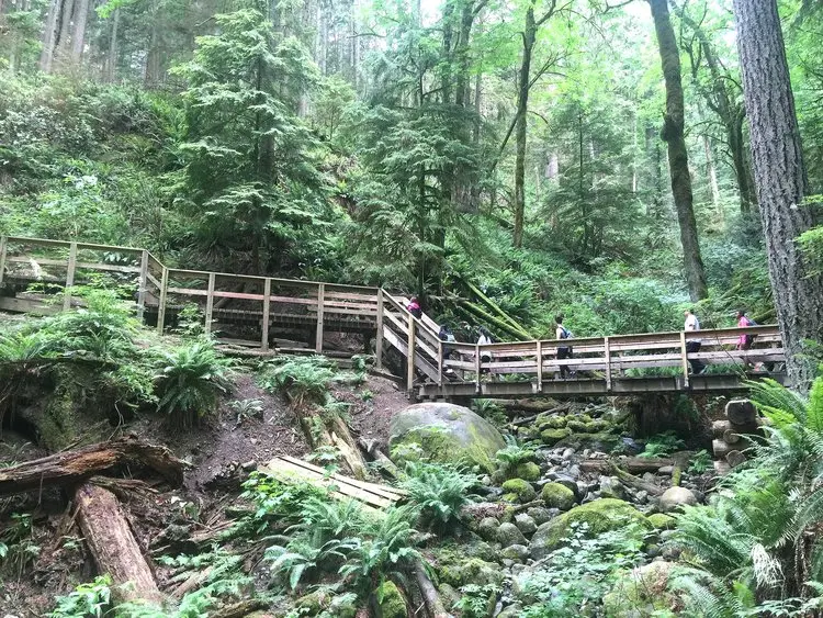 Hiking in Lynn Canyon