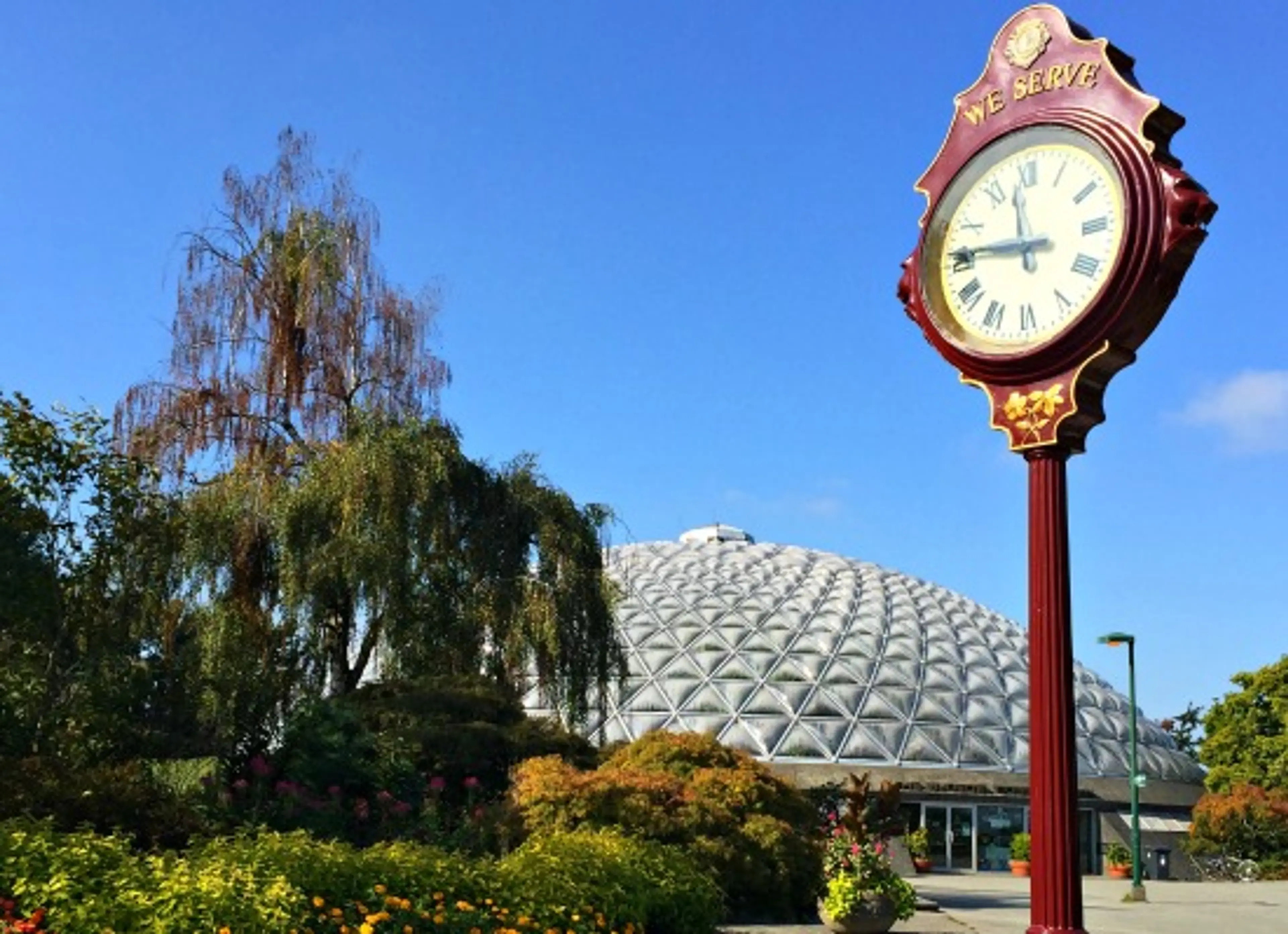 Kids In Vancouver: Enjoy a Day at Queen Elizabeth Park