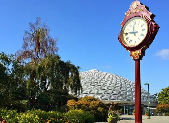 Kids In Vancouver: Enjoy a Day at Queen Elizabeth Park