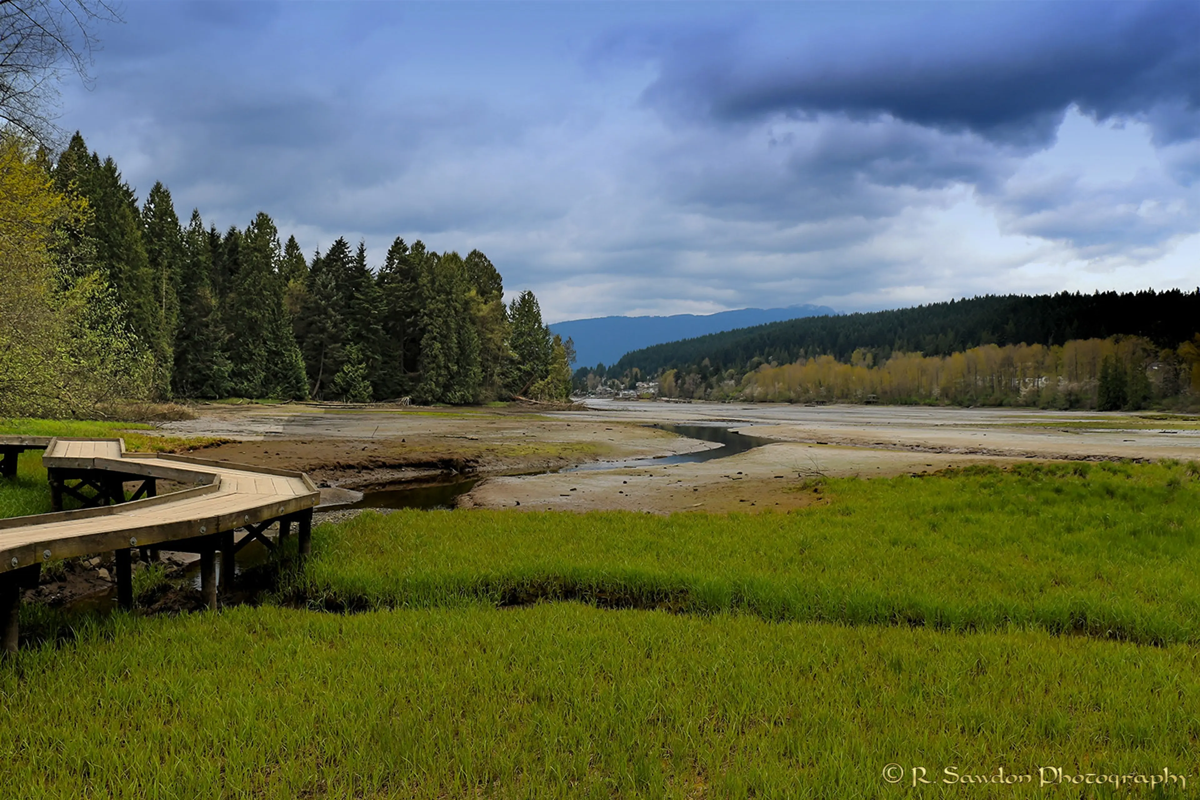 Boardwalk on the Shoreline Trail in Port Moody