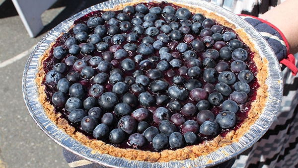 6th Annual Berry Festival