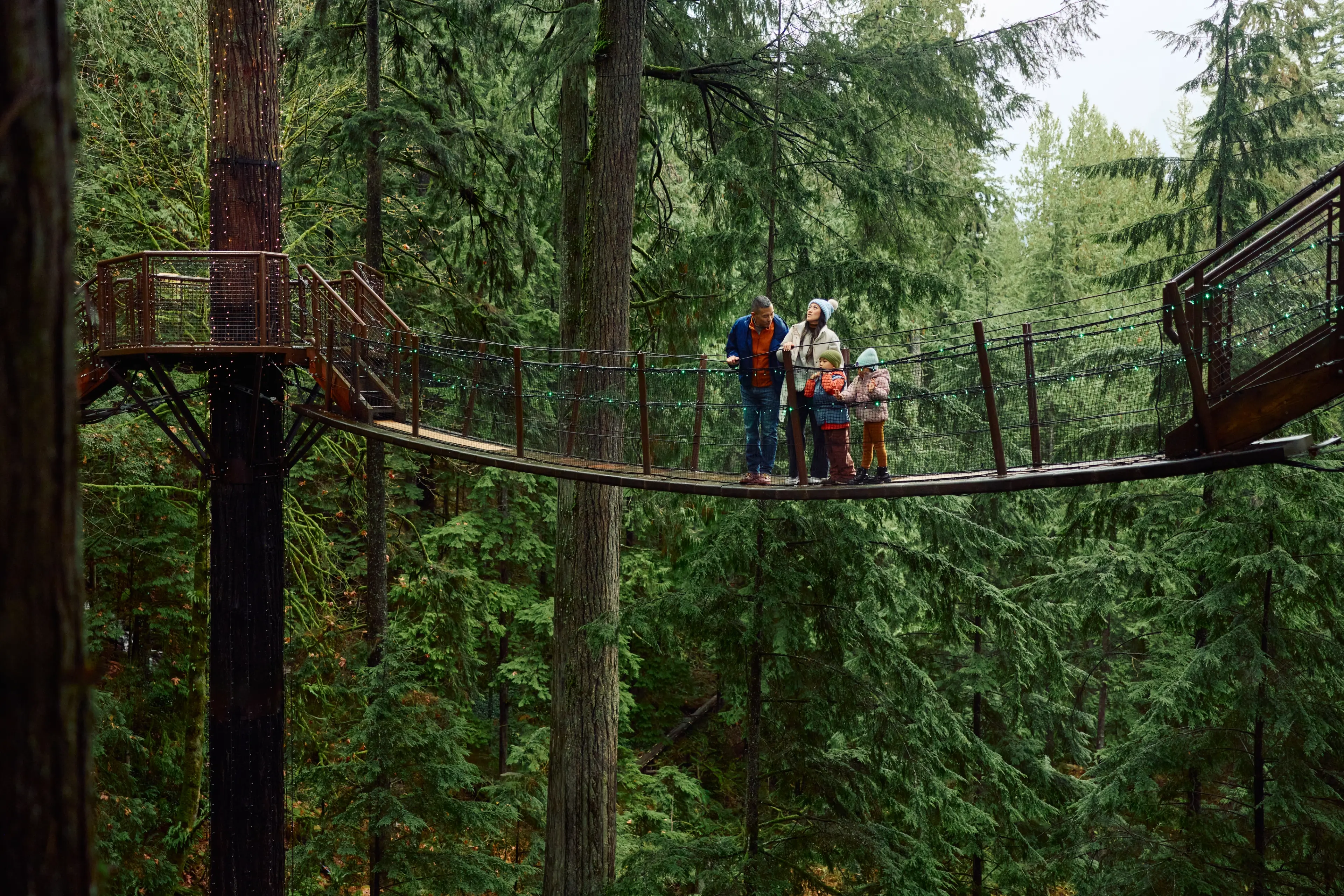 Family of four standing on a suspension bridge in a dense forest, surrounded by tall green trees.
