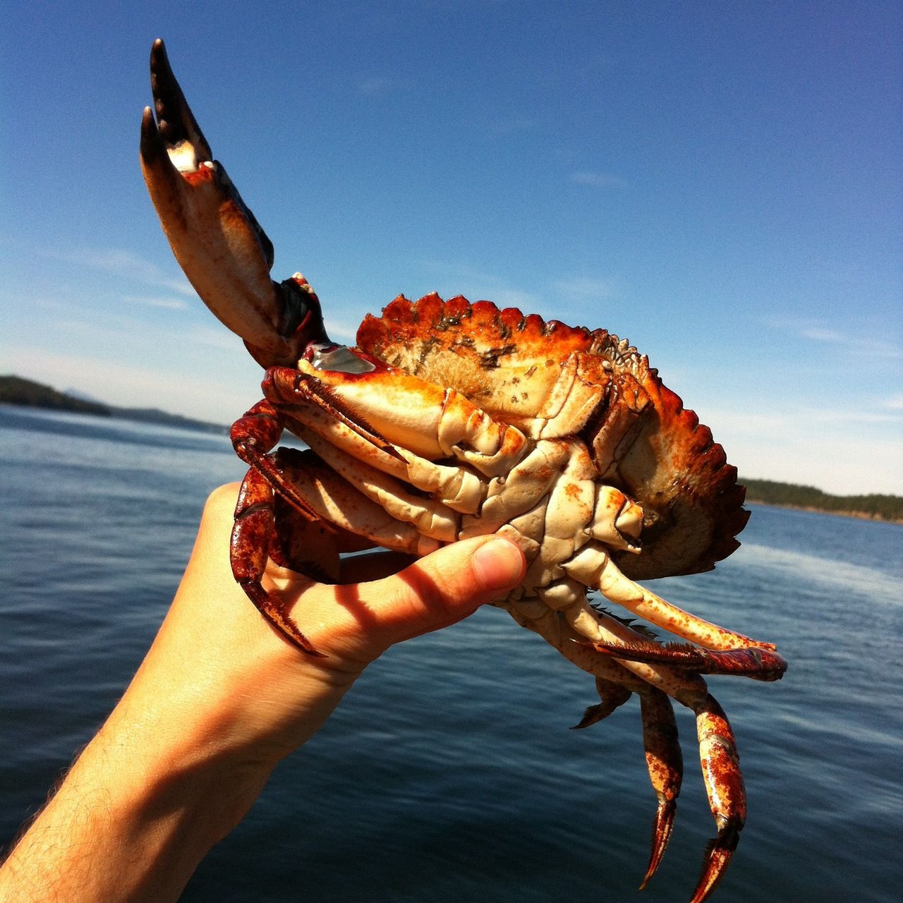 Crabbing catch and cook tour