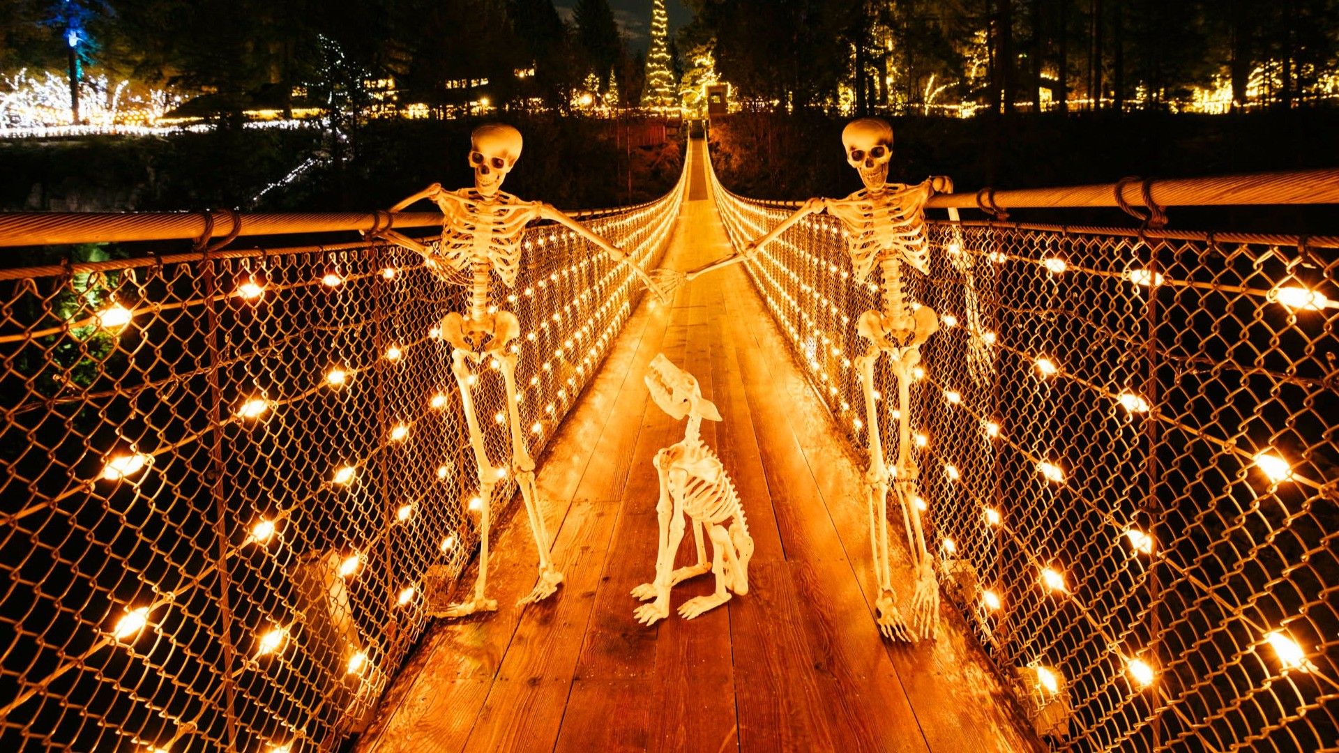 w-1920h-1080-c71419-Canyon Frights -R5230154