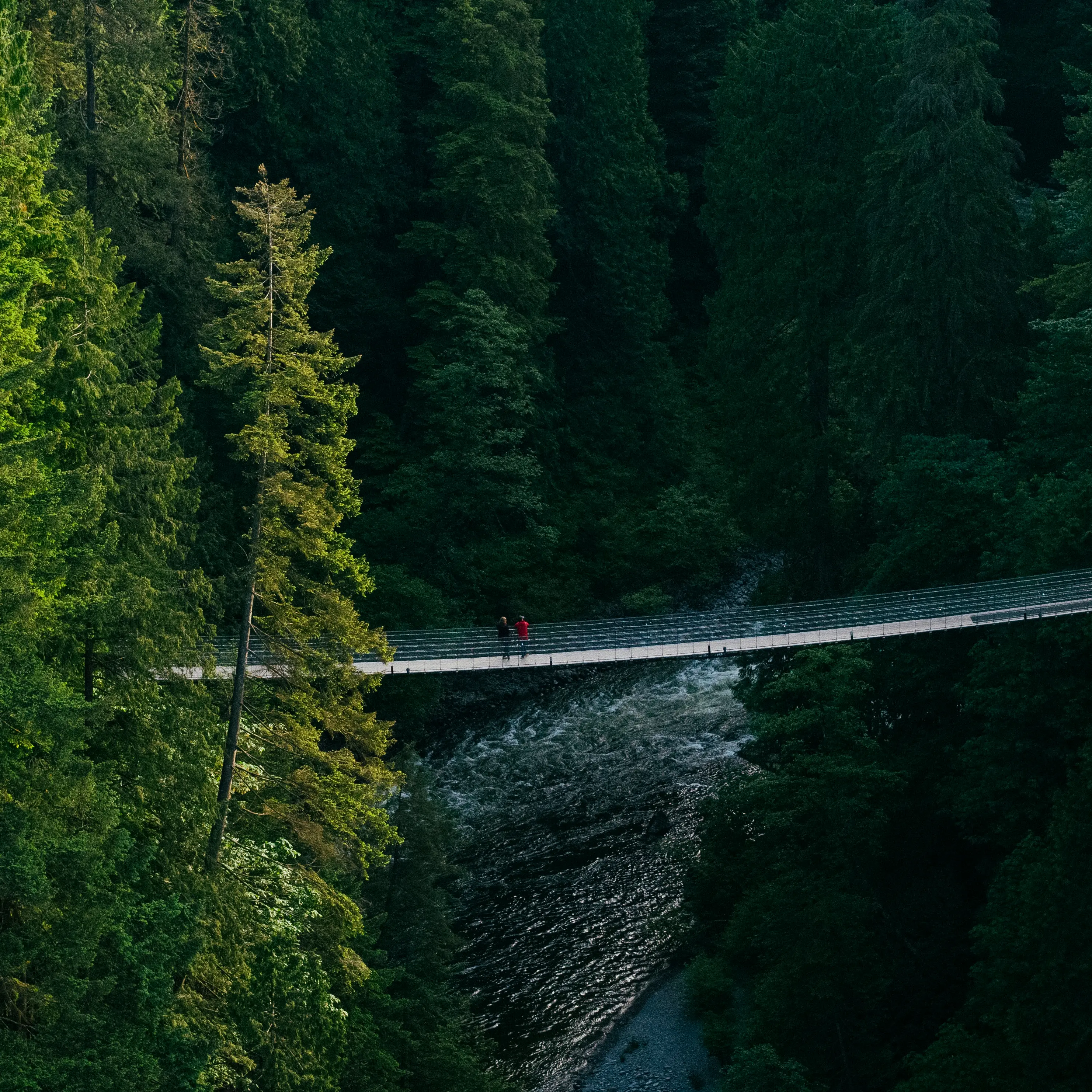 Capilano Suspension Bridge with Cliffwalk above Capilano River at Capilano Suspension Bridge Park