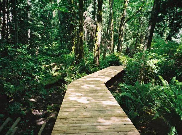 Trail around Killarney Lake on Bowen Island