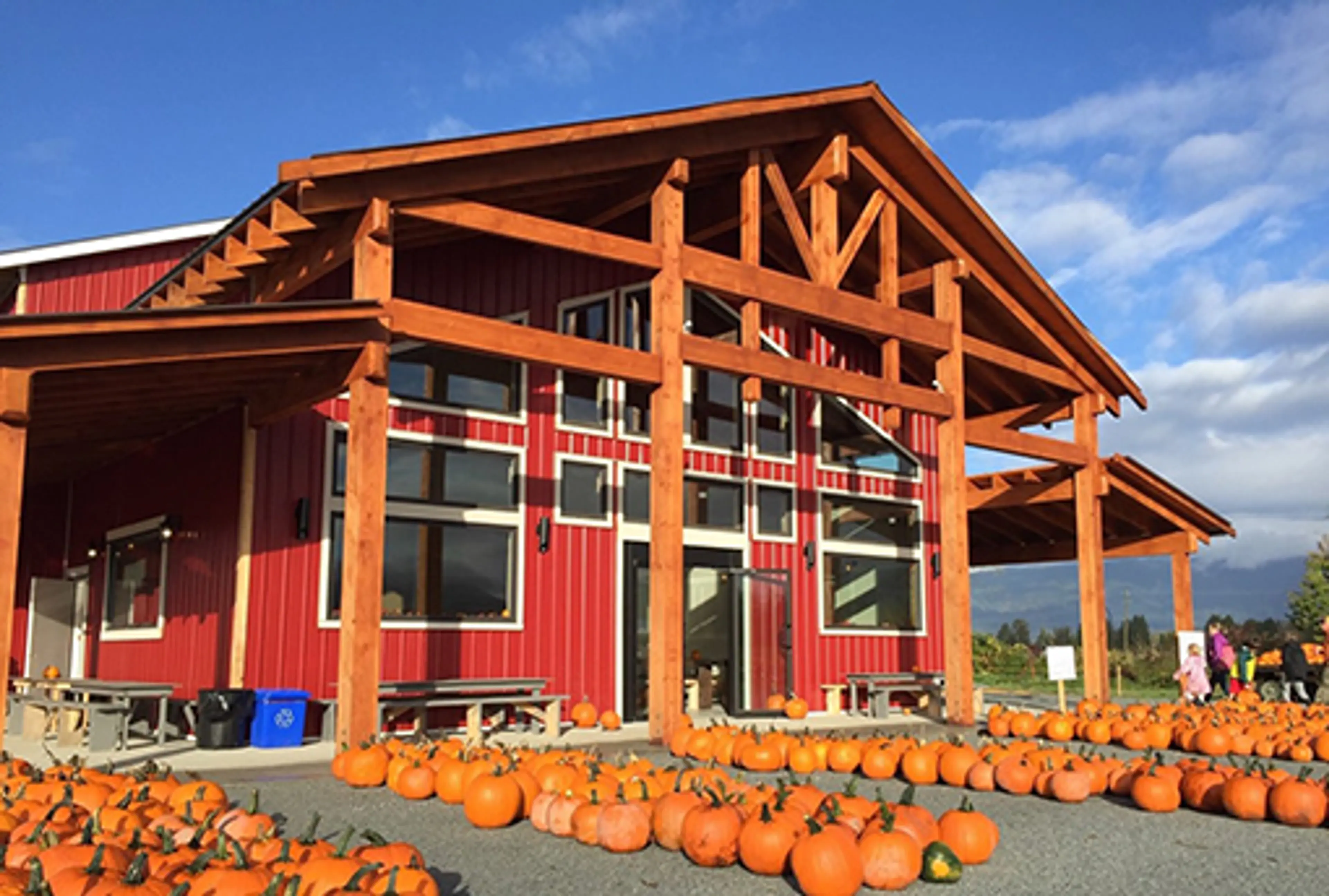 Laity Pumpkin Patch