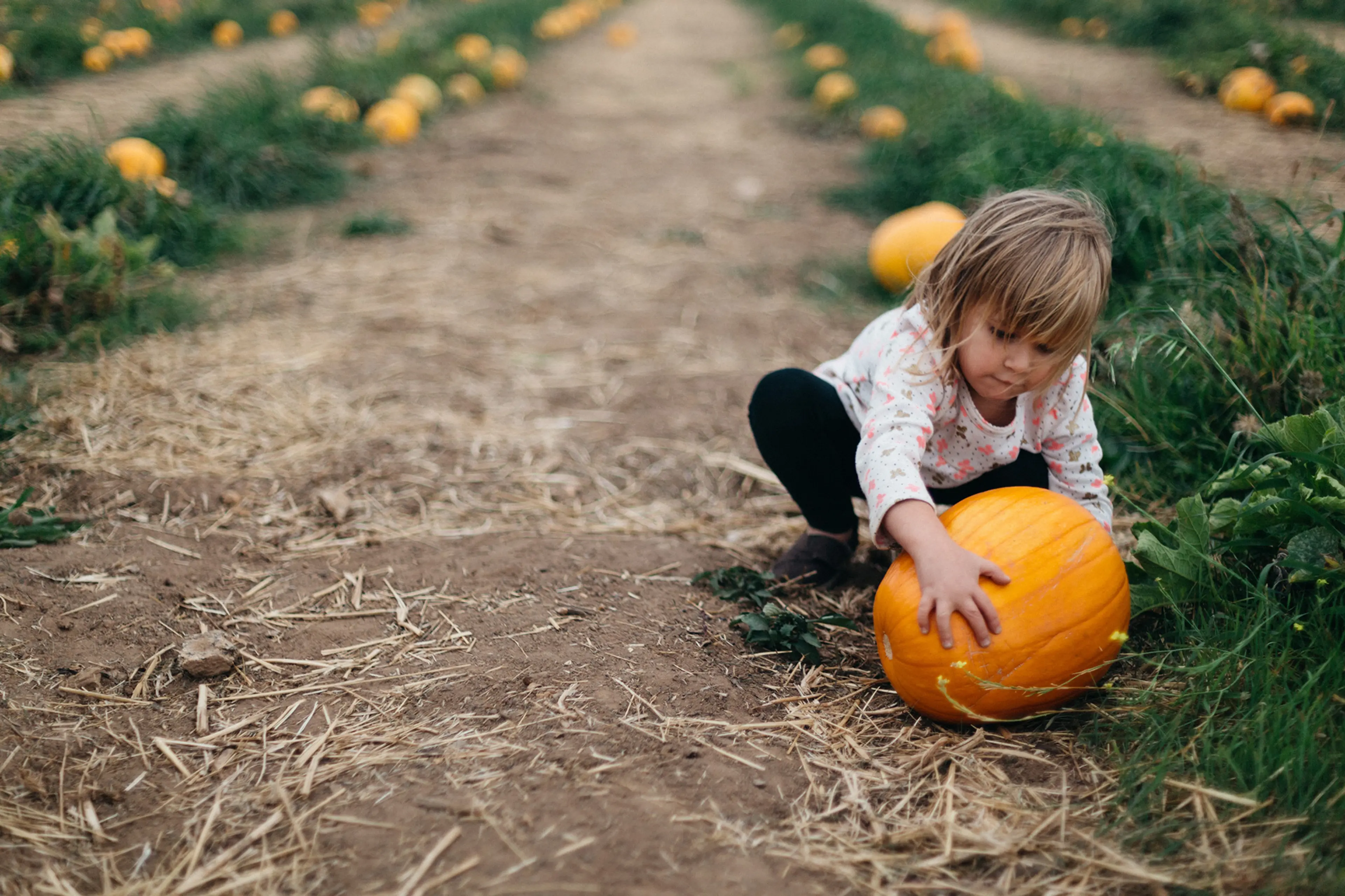 11 Family-Friendly Fall Activities Around Vancouver
