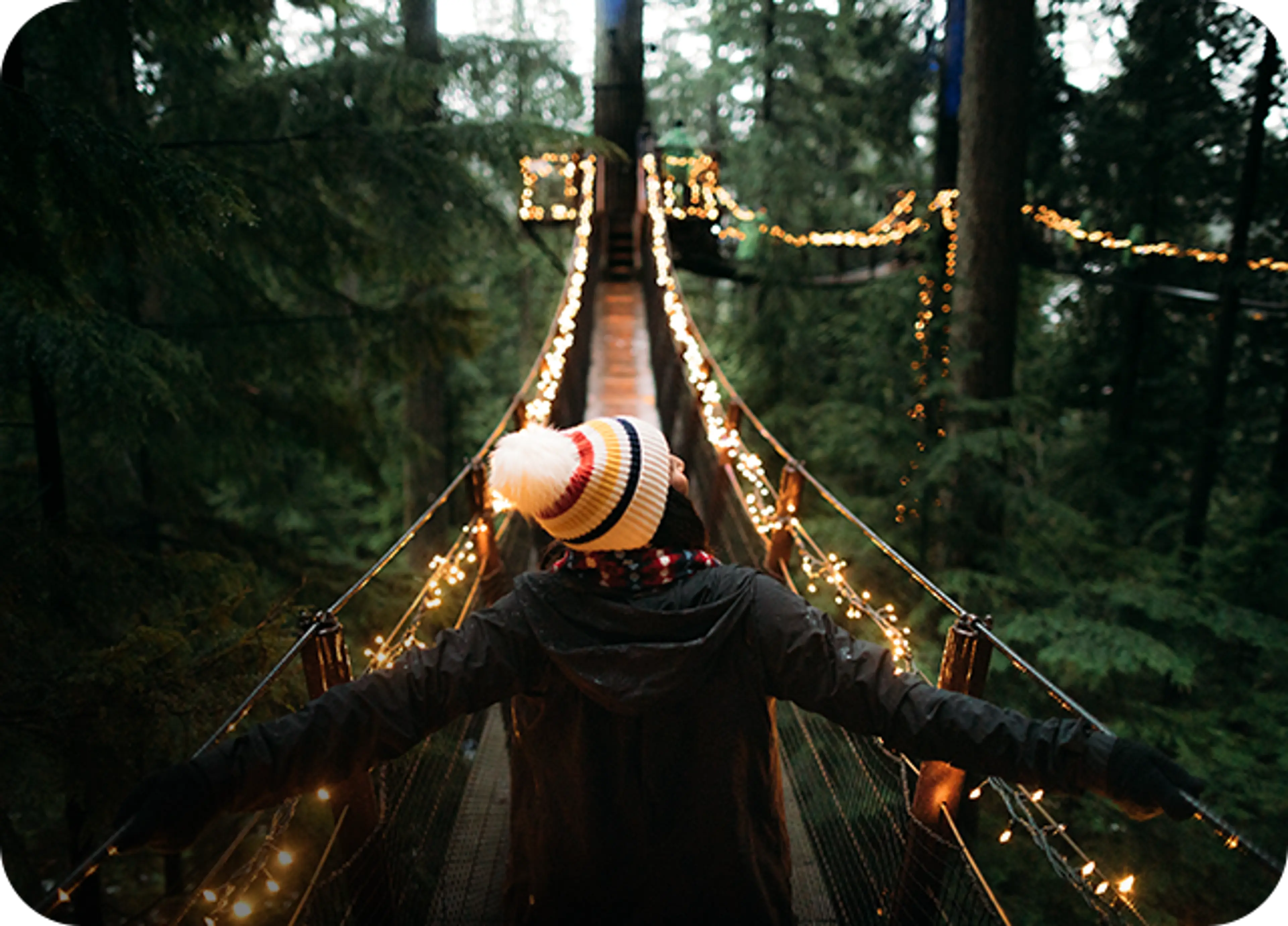 The Capilano Suspension Bridge Park