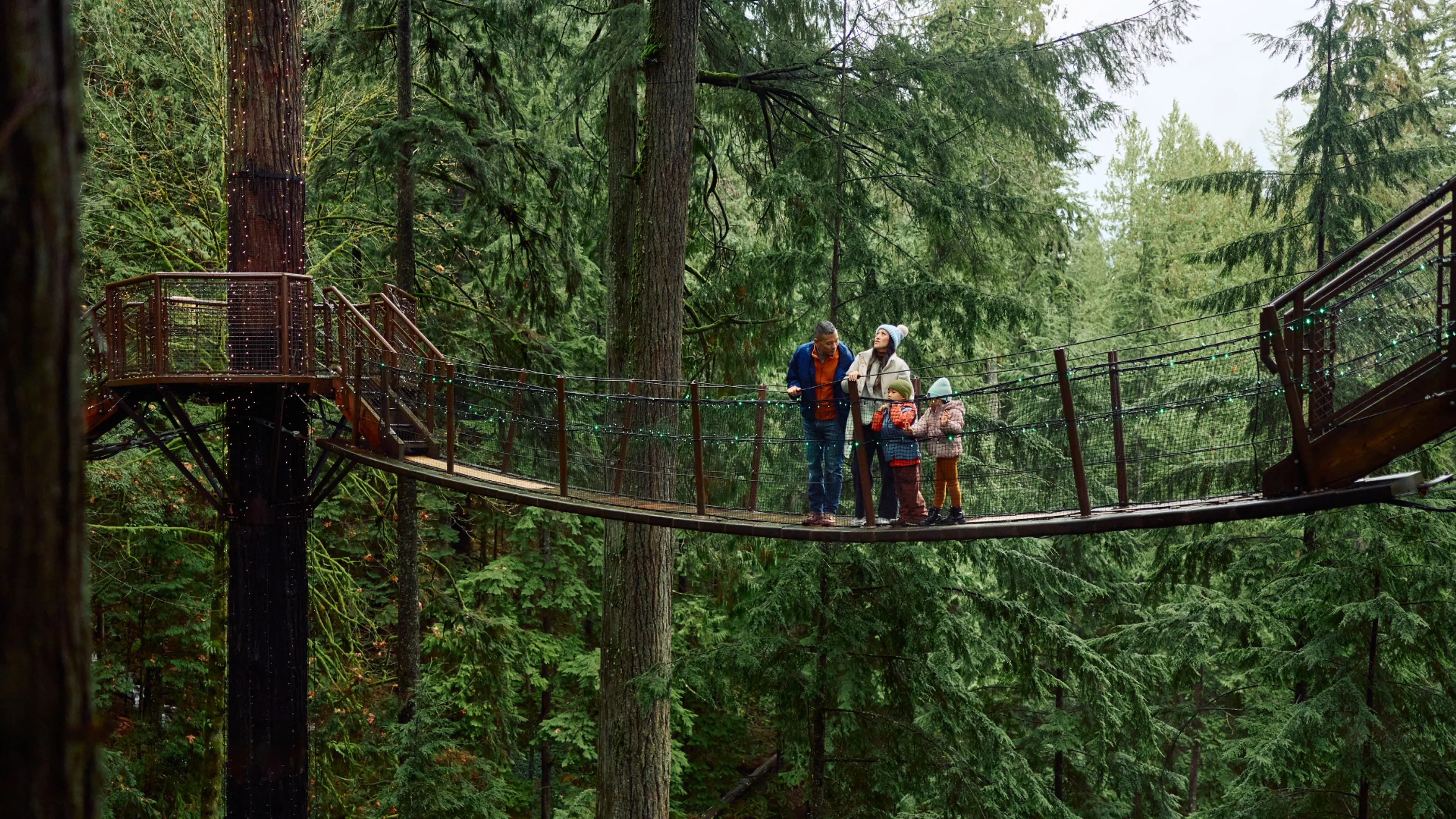 A group of four people standing on a suspension bridge surrounded by tall green trees in a forest.