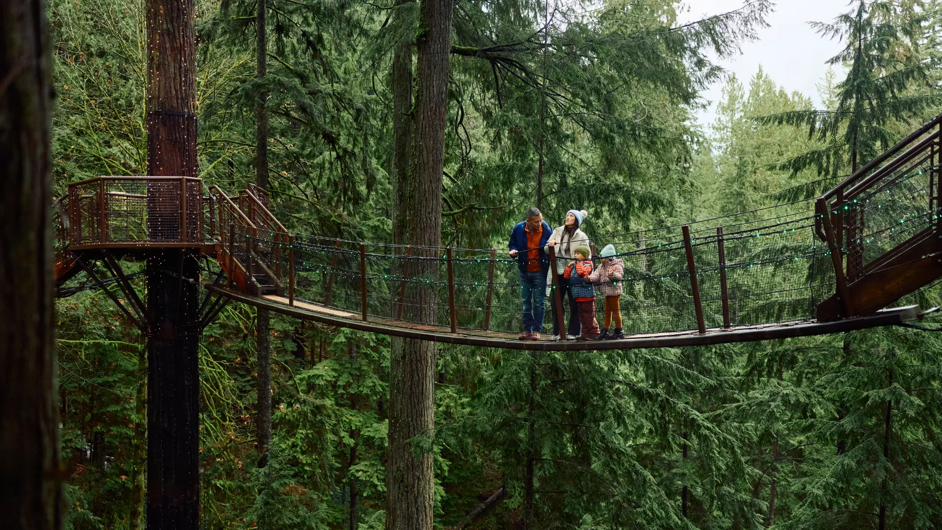 A group of four people standing on a suspension bridge surrounded by tall green trees in a forest.