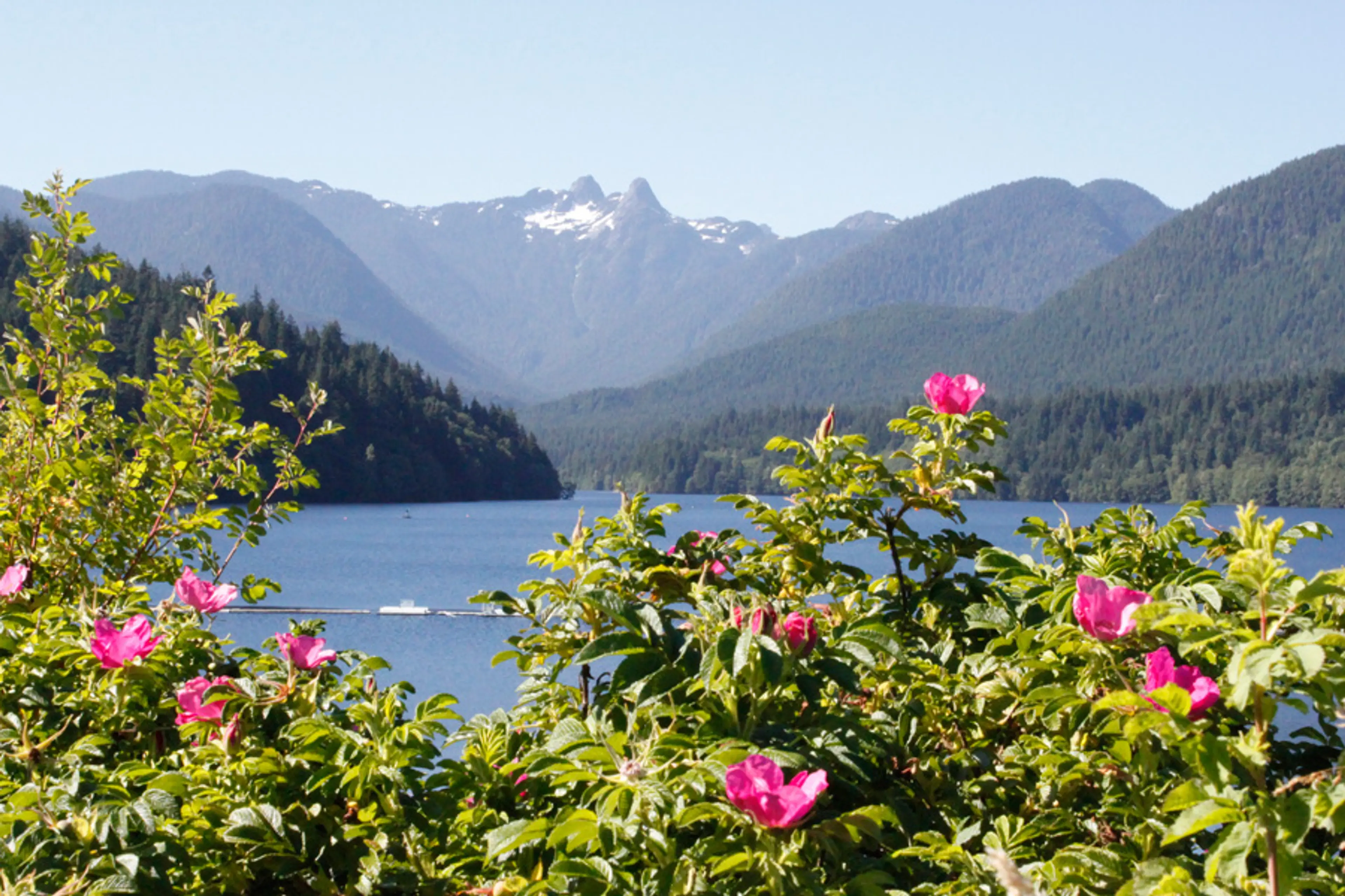 Summer Watershed Tours