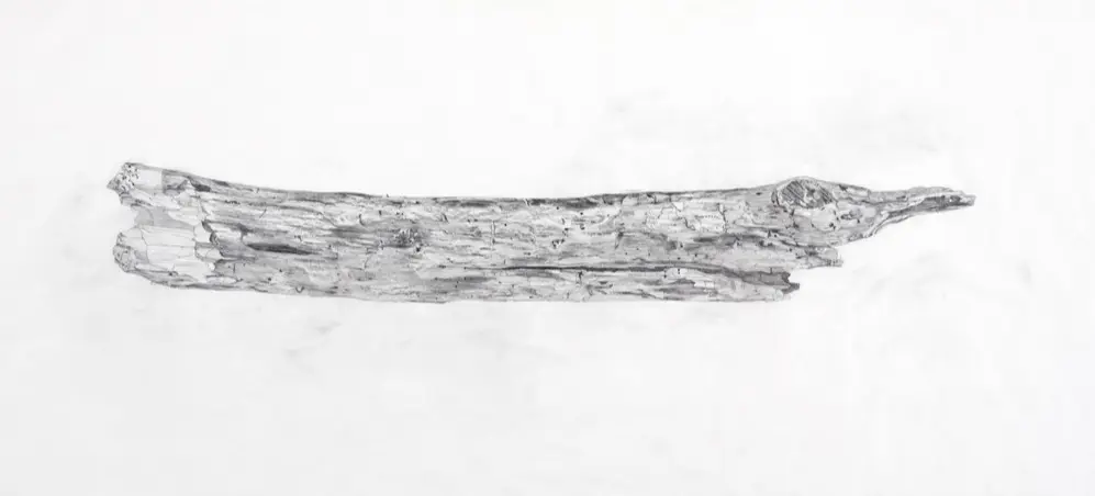 w-999h-561-53c0f3-Winning