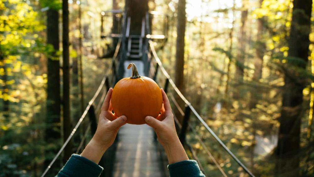 Canyon Frights - Pumpkin on Treetops Adventure Horizontal