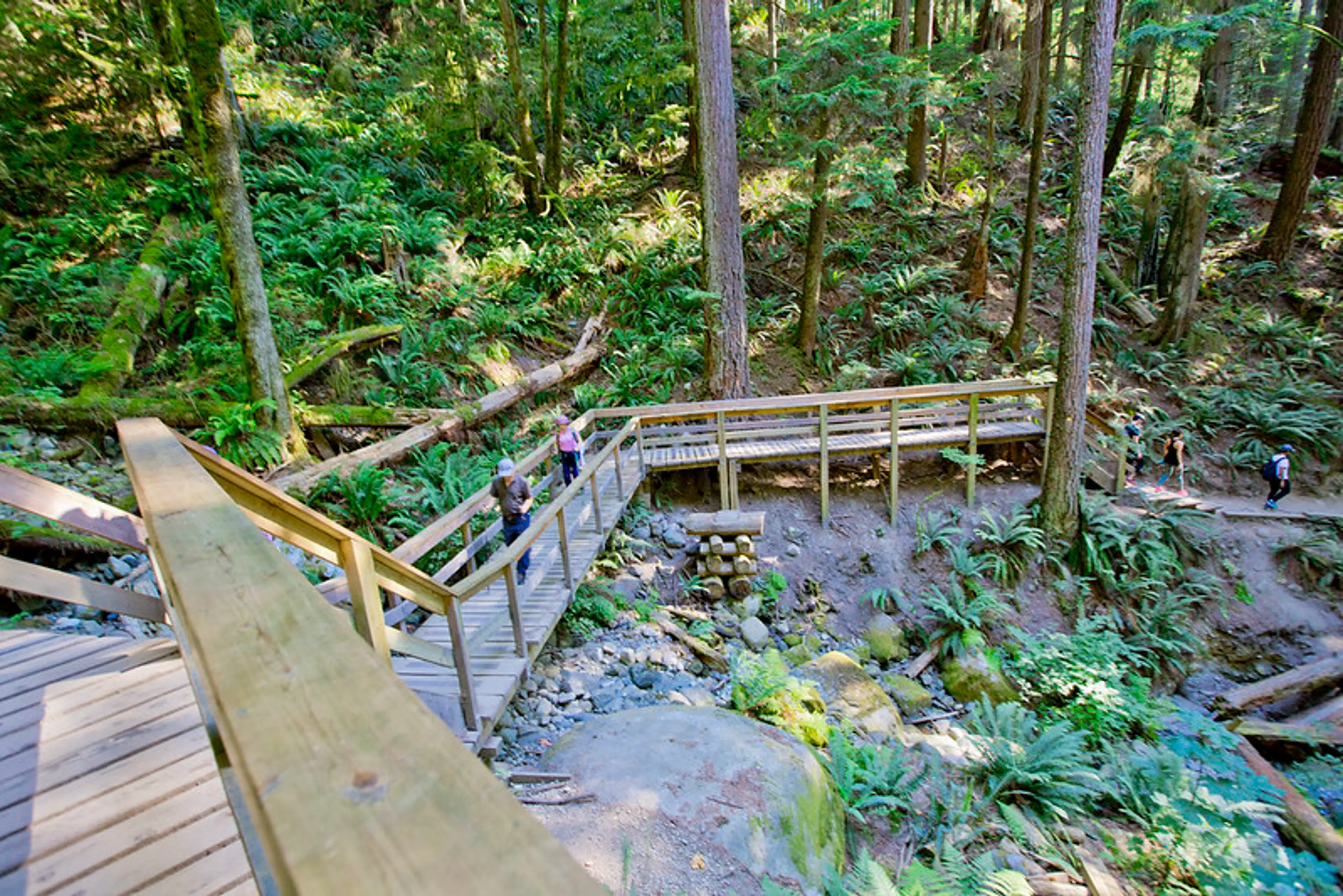 Forested trail on the way to Quarry Rock