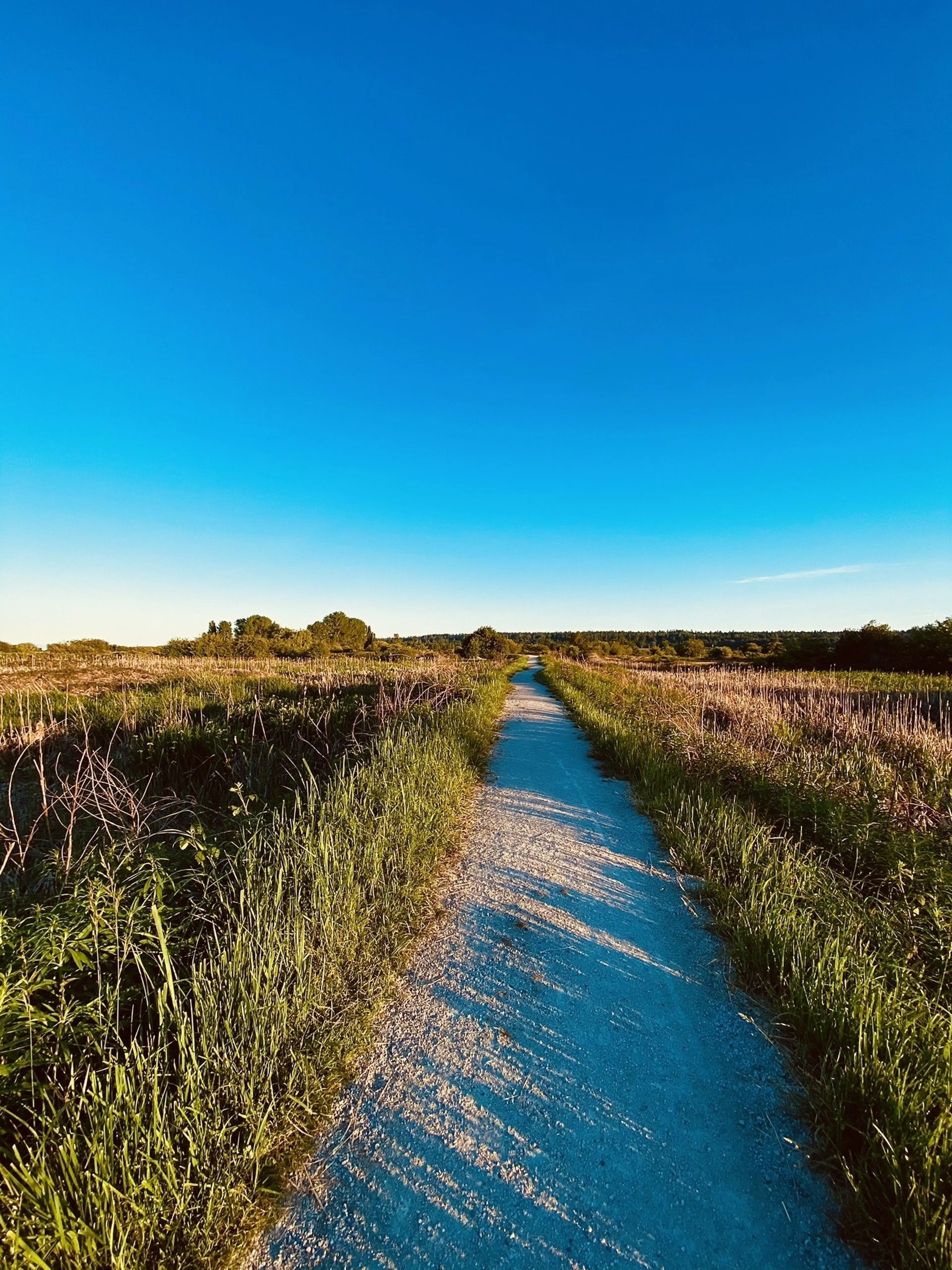 Hiking trail in Boundary Bay Regional Park.