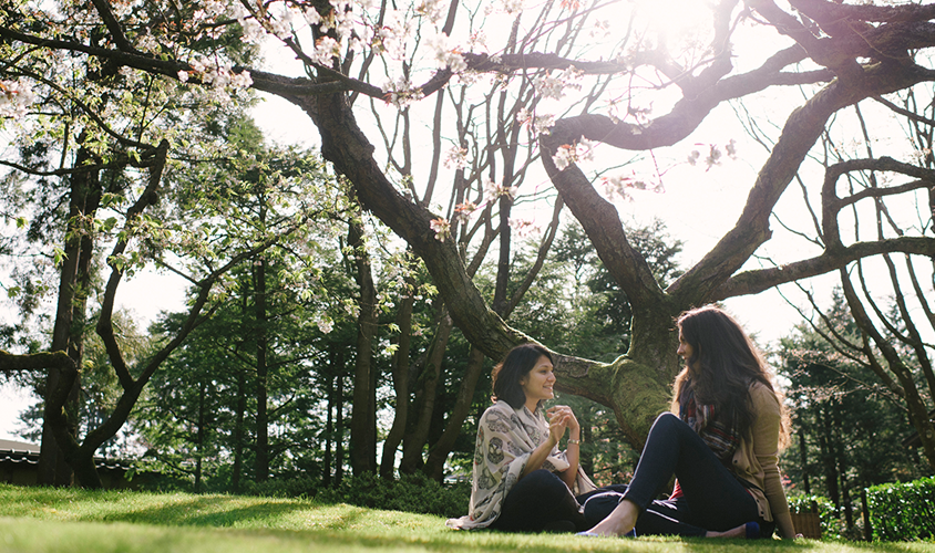 Film Venue Spotlight: UBC