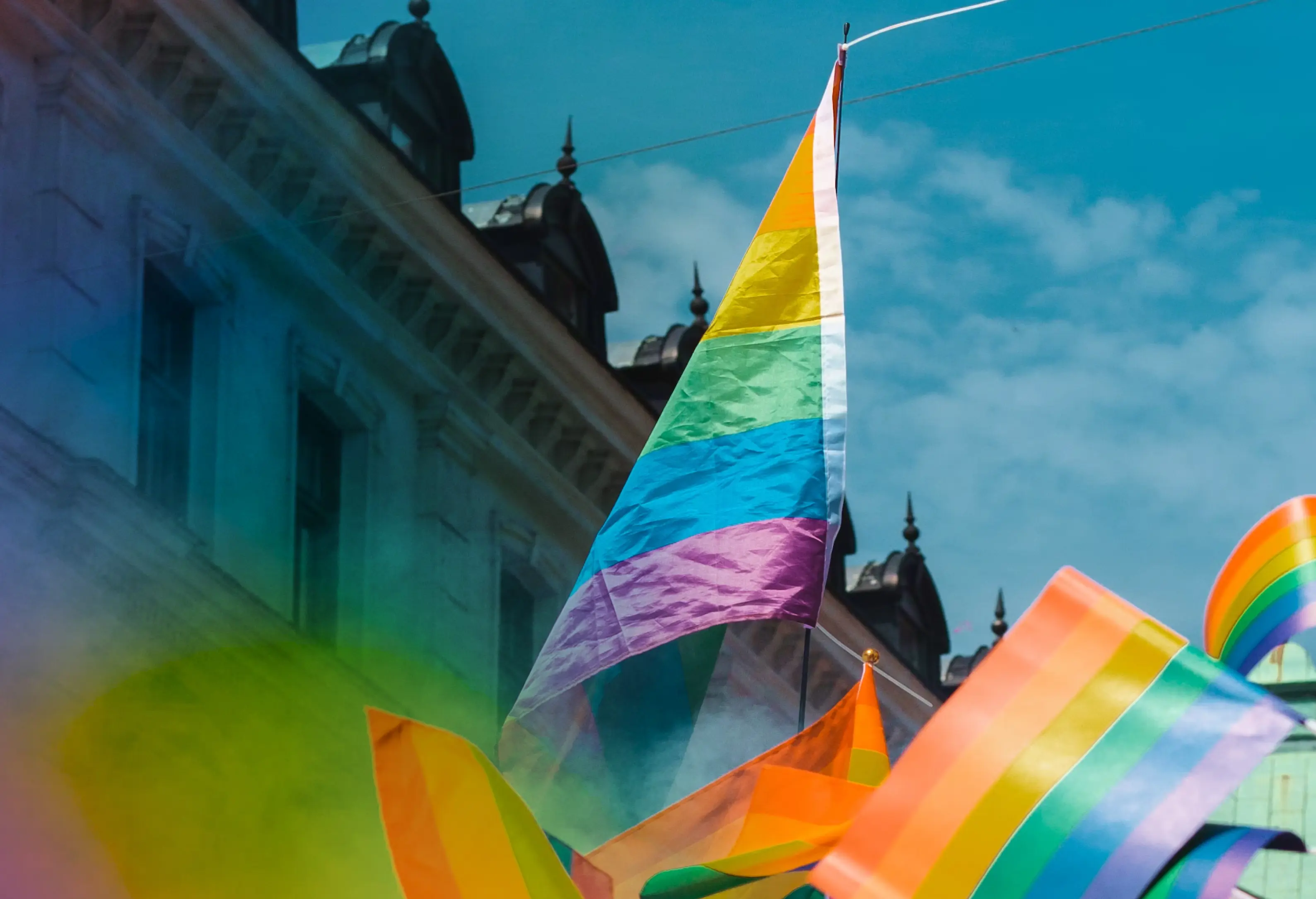 Image of pride flags