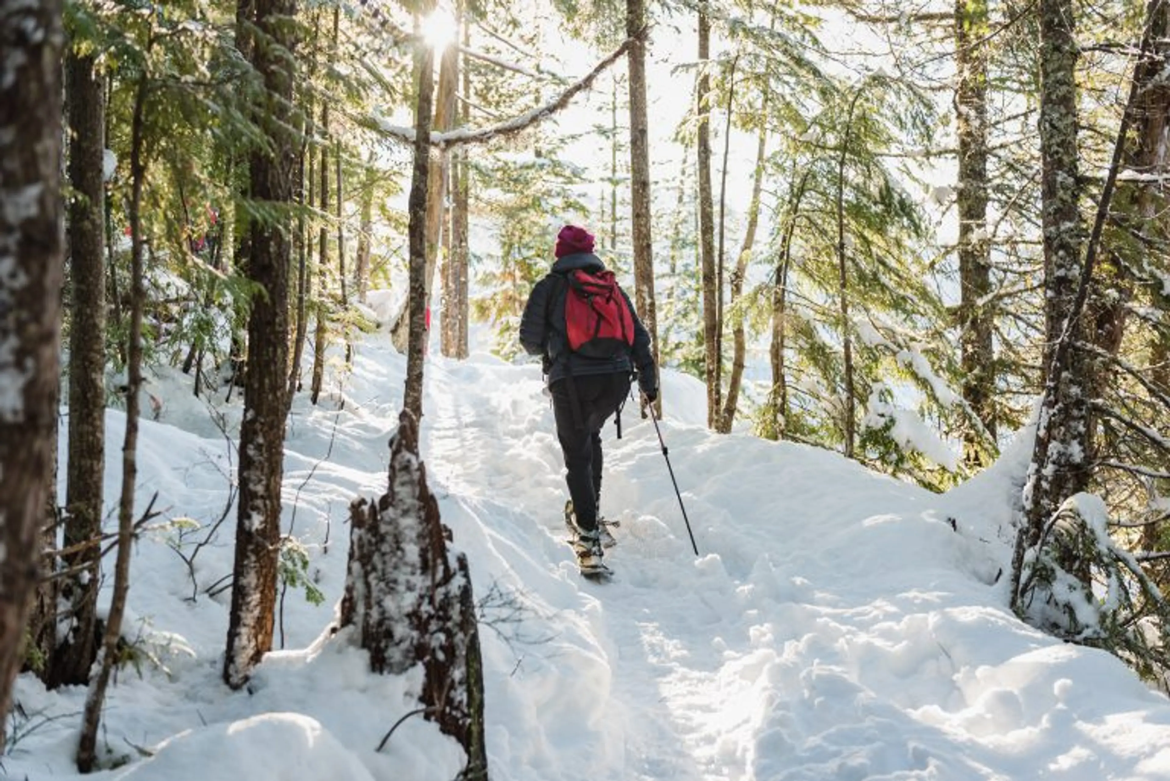 Sea to Sky Gondola Holiday Events