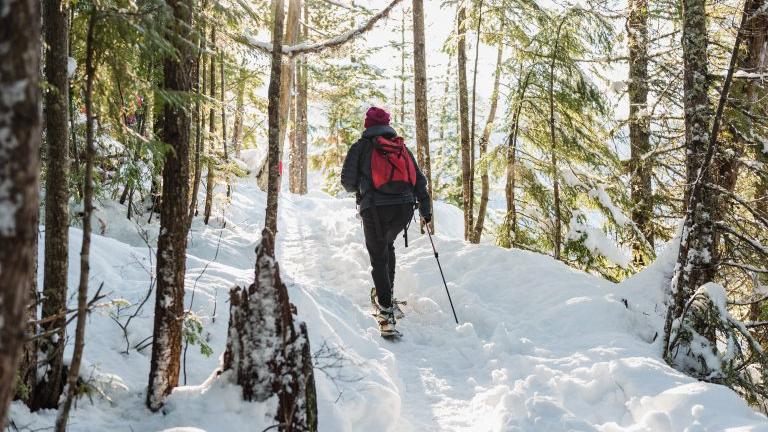 Sea to Sky Gondola Holiday Events