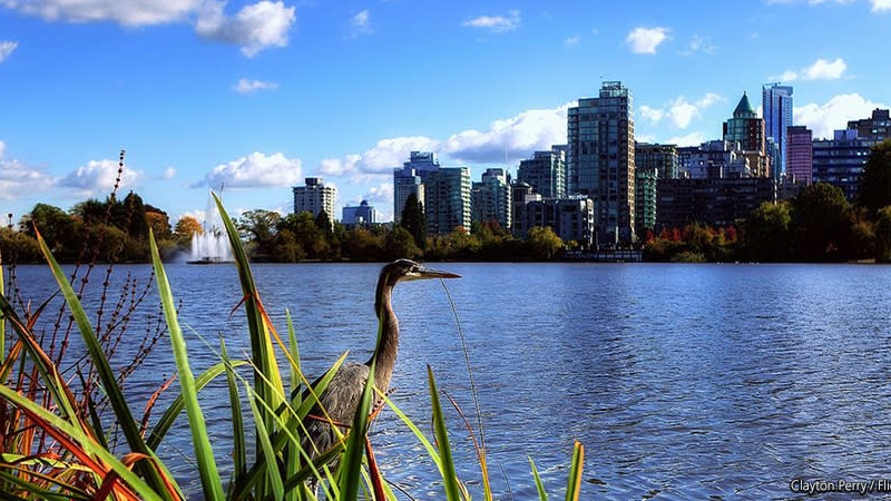 Stanley Park: Lost Lagoon