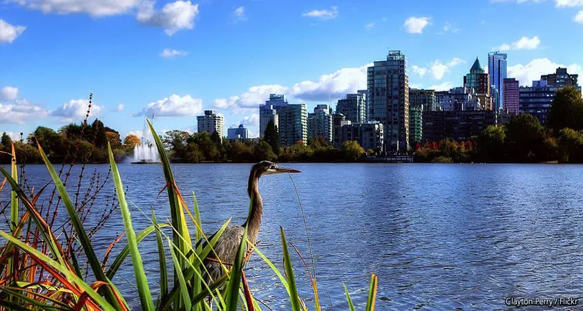 Stanley Park: Lost Lagoon