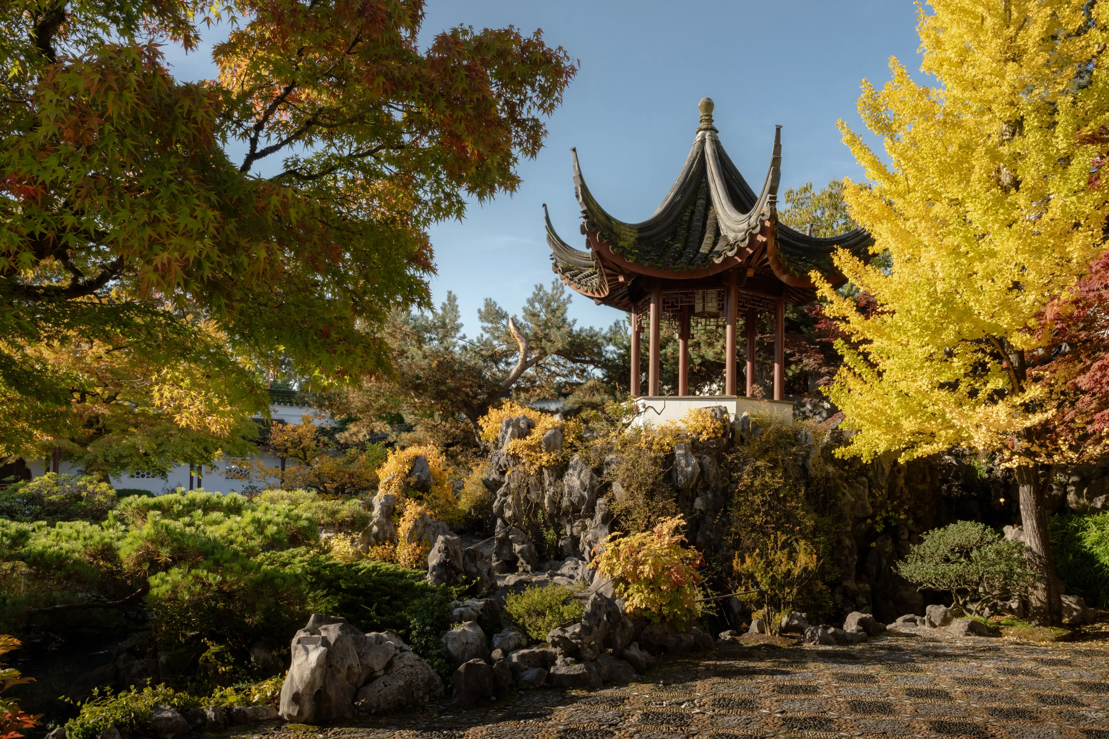 Peaceful image of Dr. Sun Yat Sen Gardens in Vancouver.