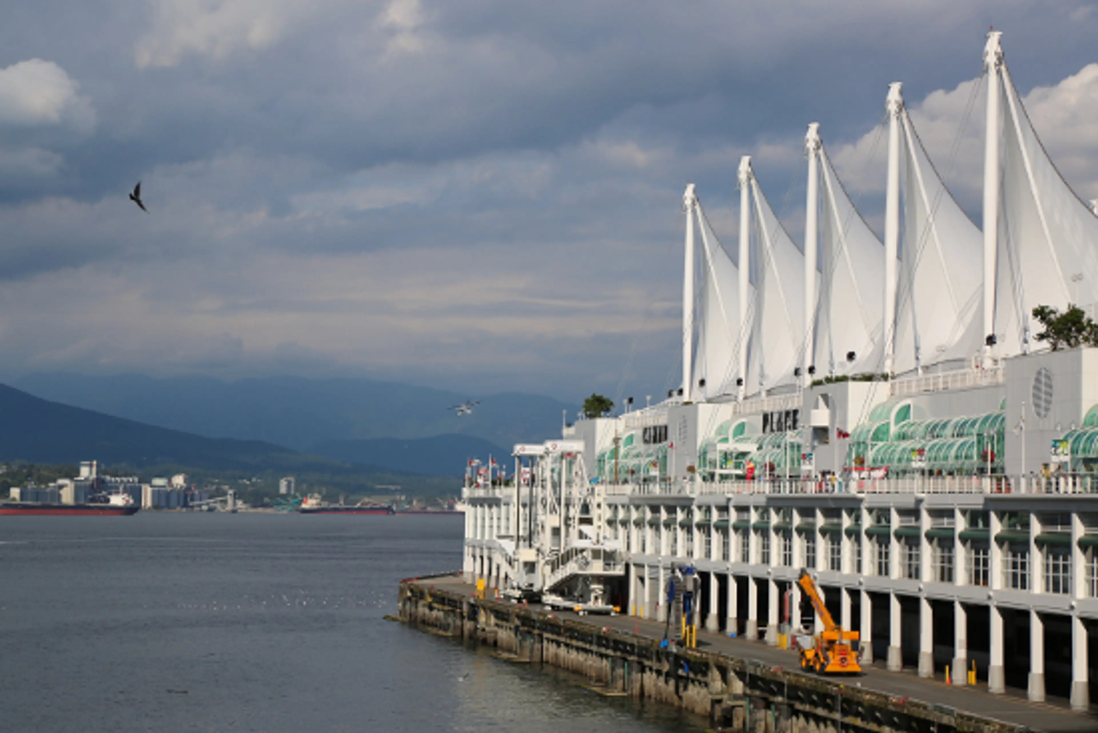 PokemonVancity-22