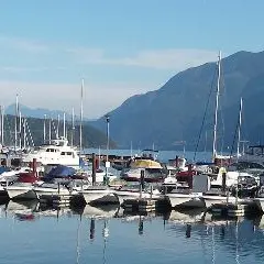 Sewells Marina