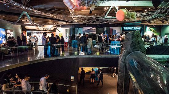 Vancouver Aquarium’s Eleventh Annual Toast To The Coast Is A Truly Stellar Occasion
