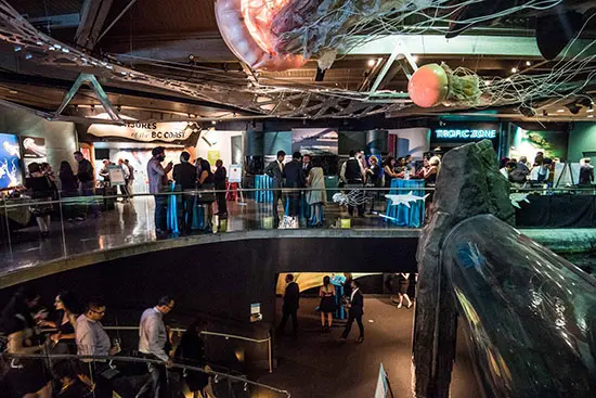 Vancouver Aquarium’s Eleventh Annual Toast To The Coast Is A Truly Stellar Occasion