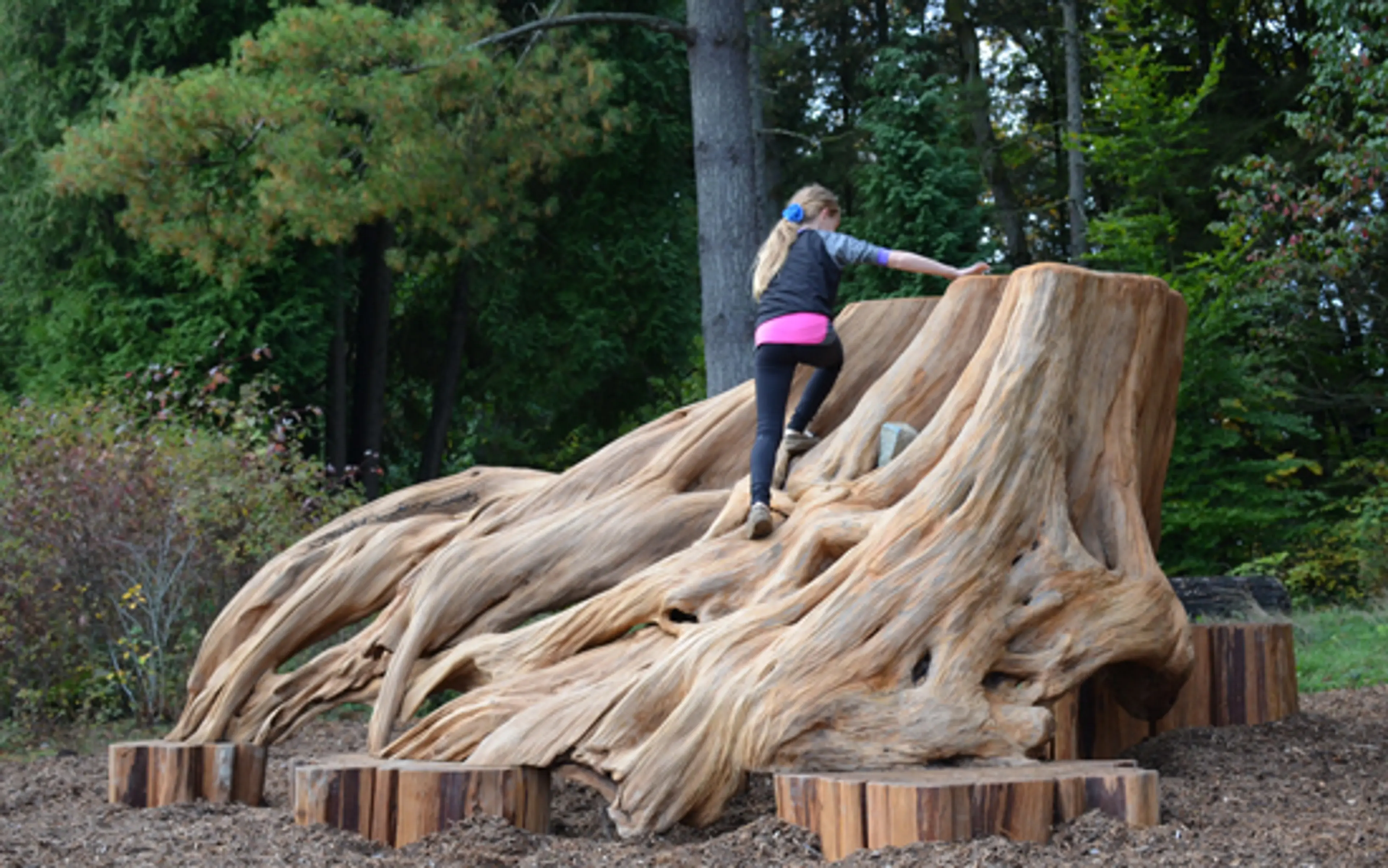 Surrey Nature Centre – Gateway to Urban Wilderness