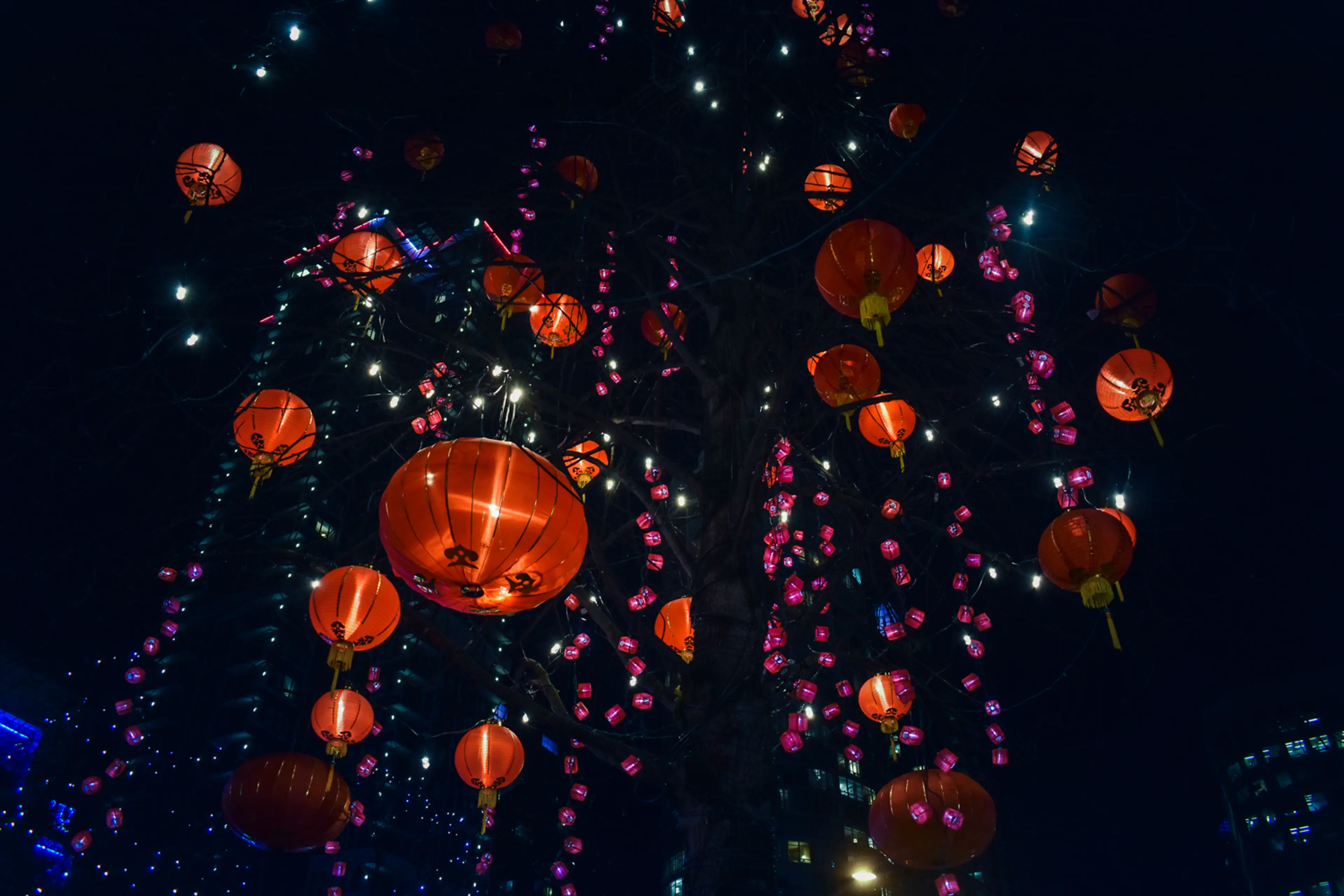 Celebrate Lunar New Year with the Tree of Good Fortune Giveaway!