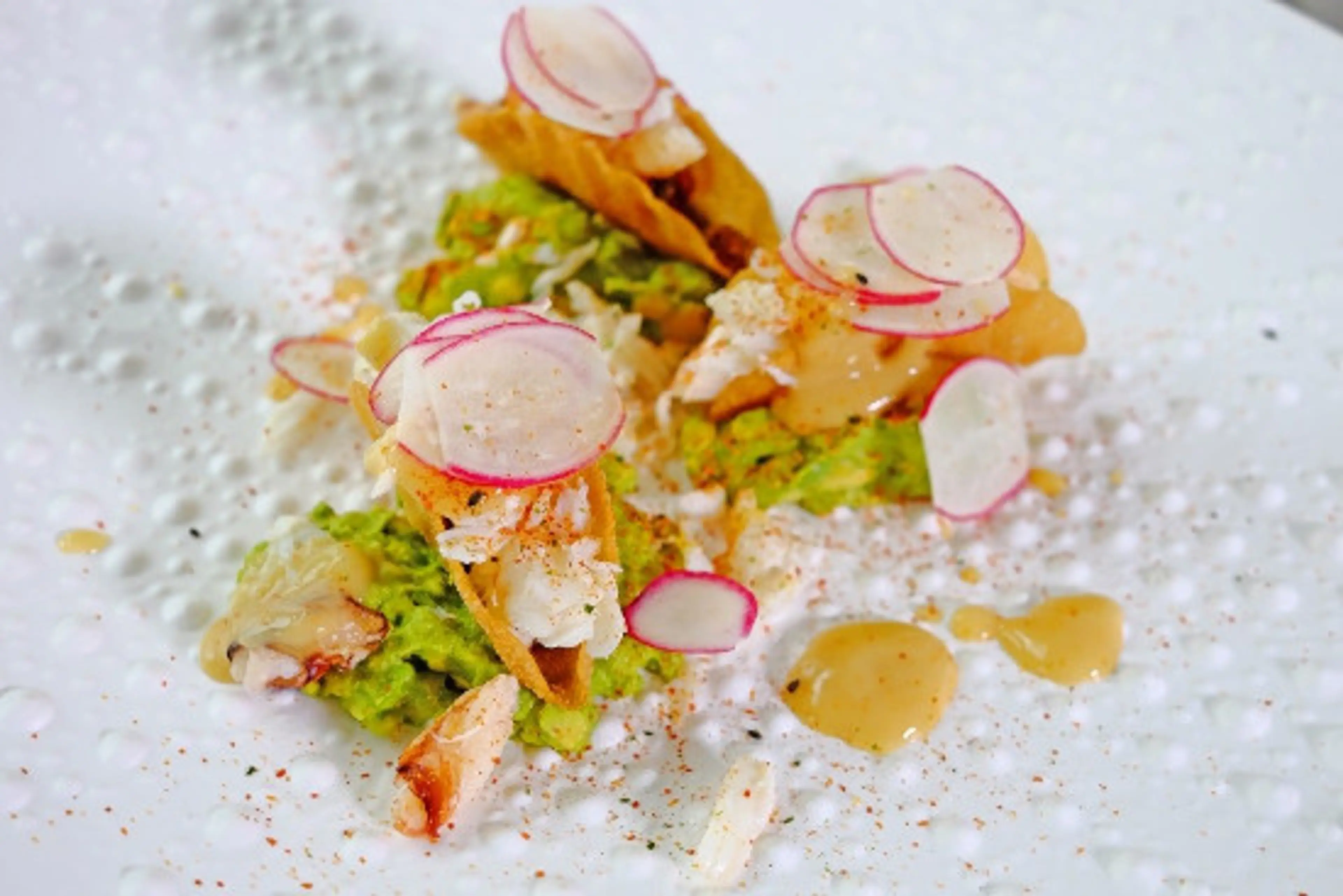 Learn to Cook from Vancouver’s Hottest Ocean Wise Chefs at Fin to Tail