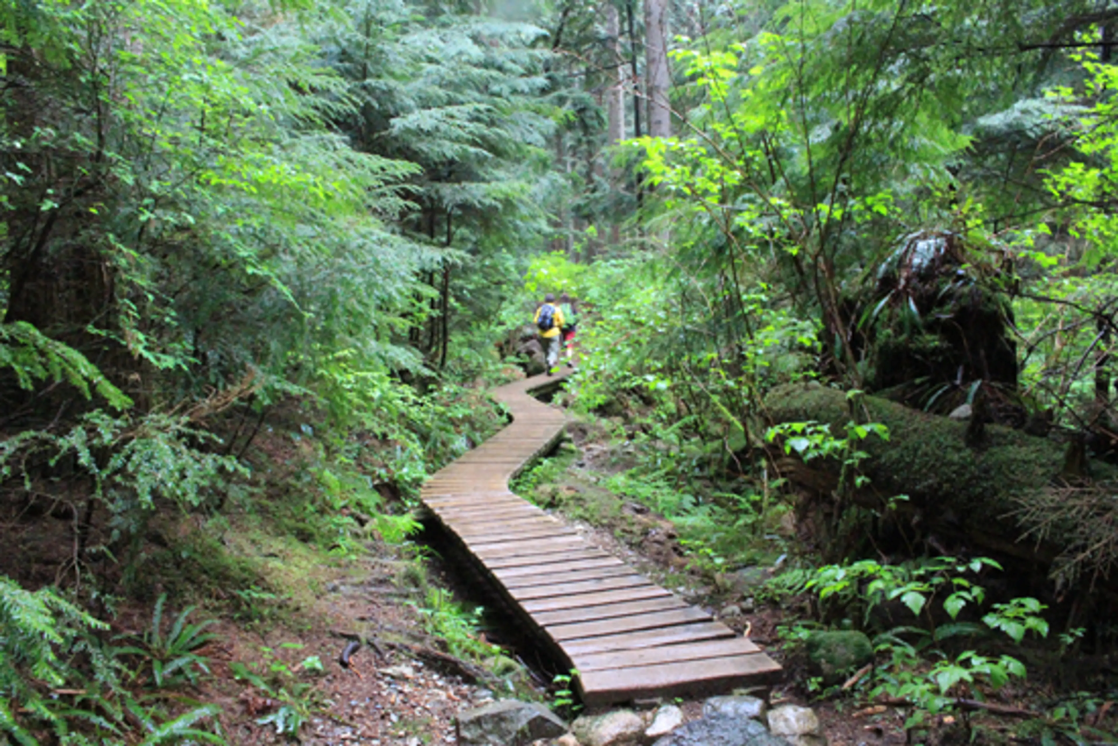 Discover Outdoors Kennedy Falls10