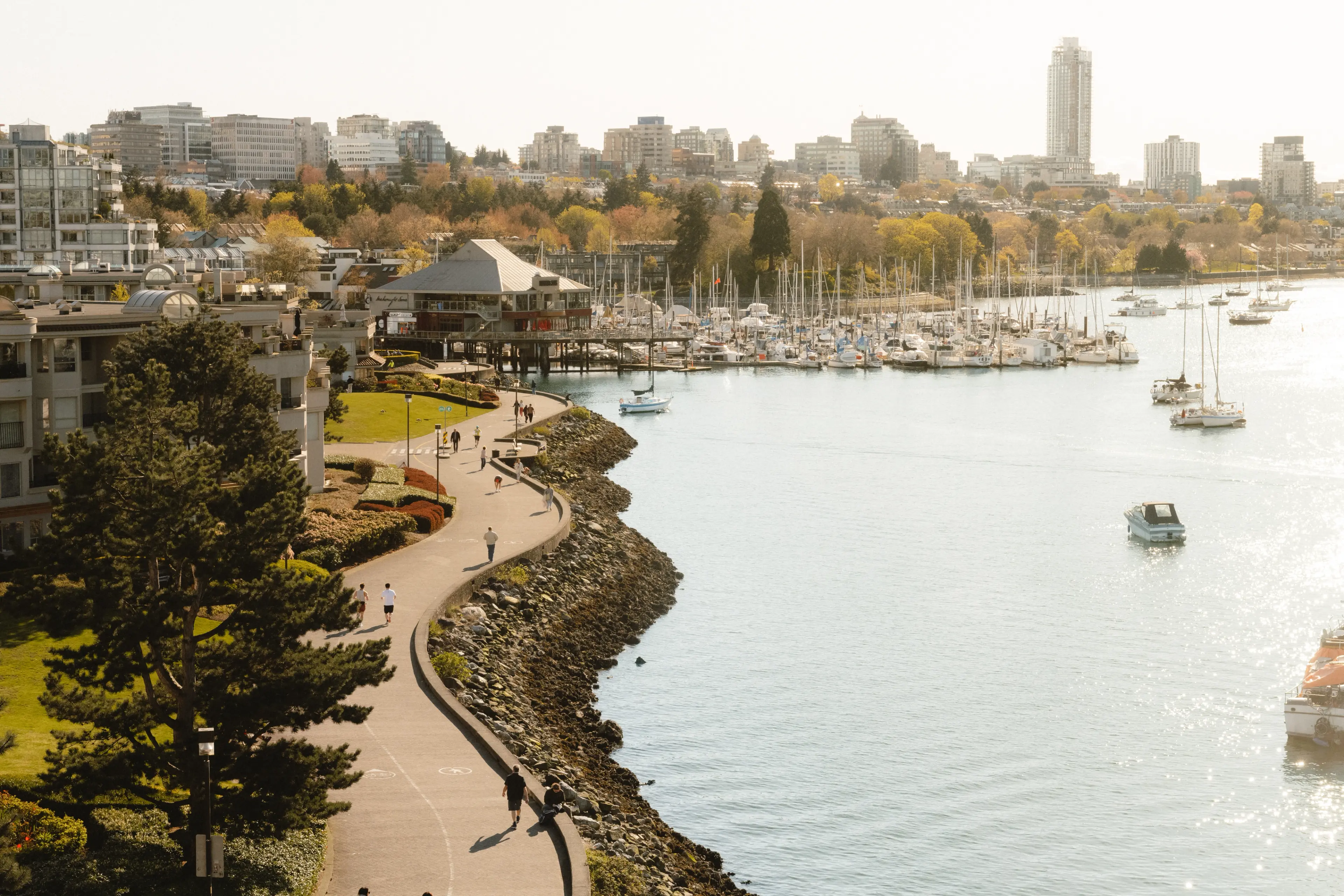 False Ceek Seawall path from above