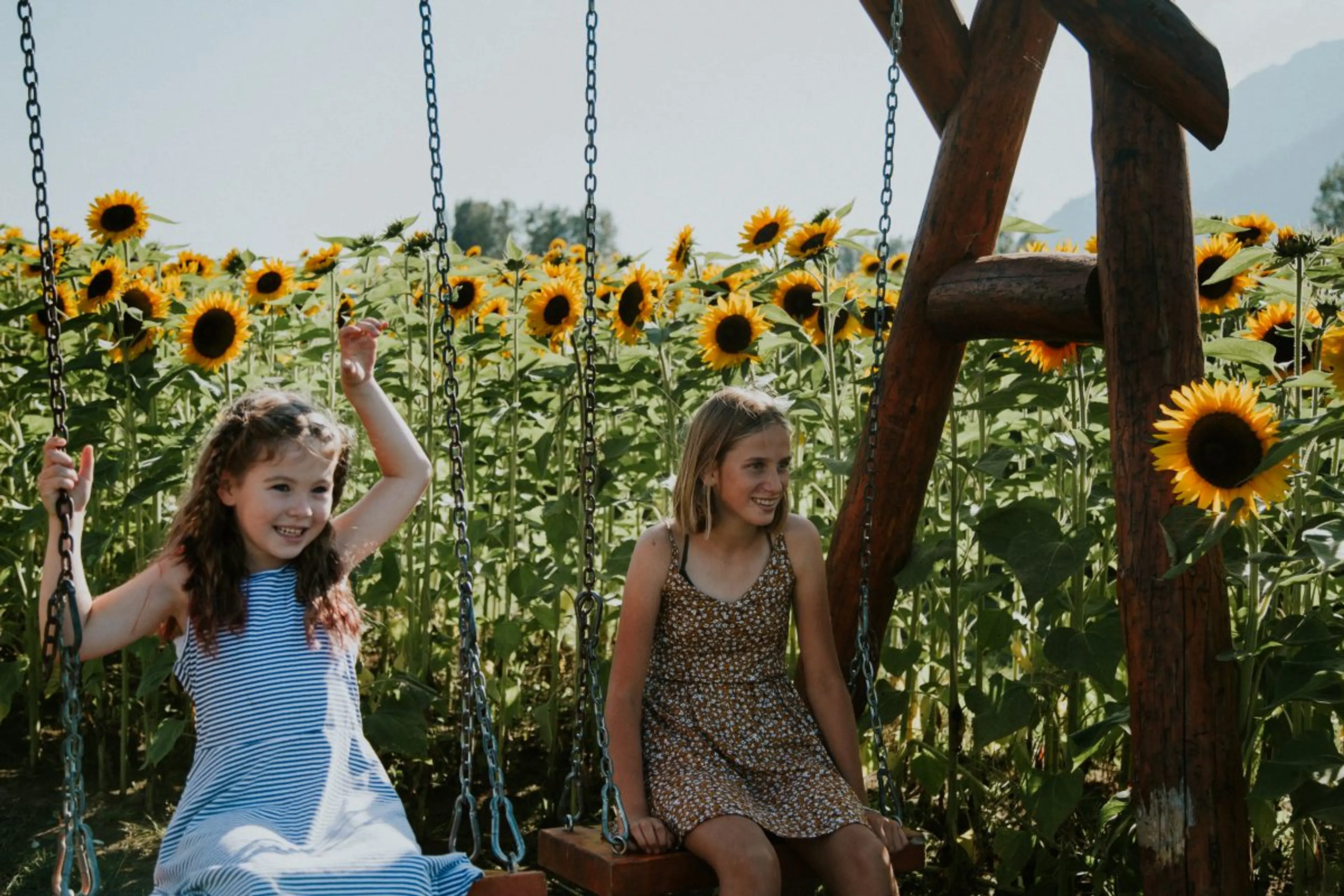 Children on swings at the Chilliwack Sunflower Festival