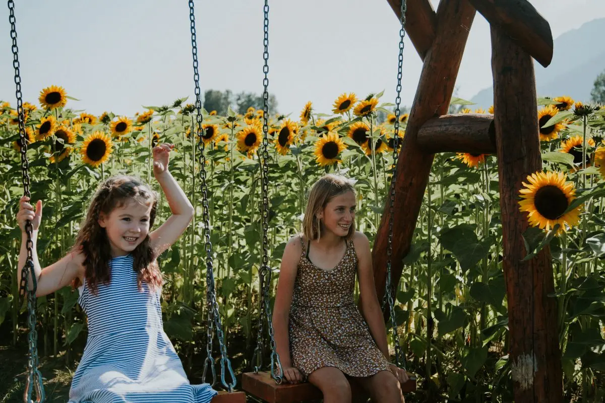 Children on swings at the Chilliwack Sunflower Festival