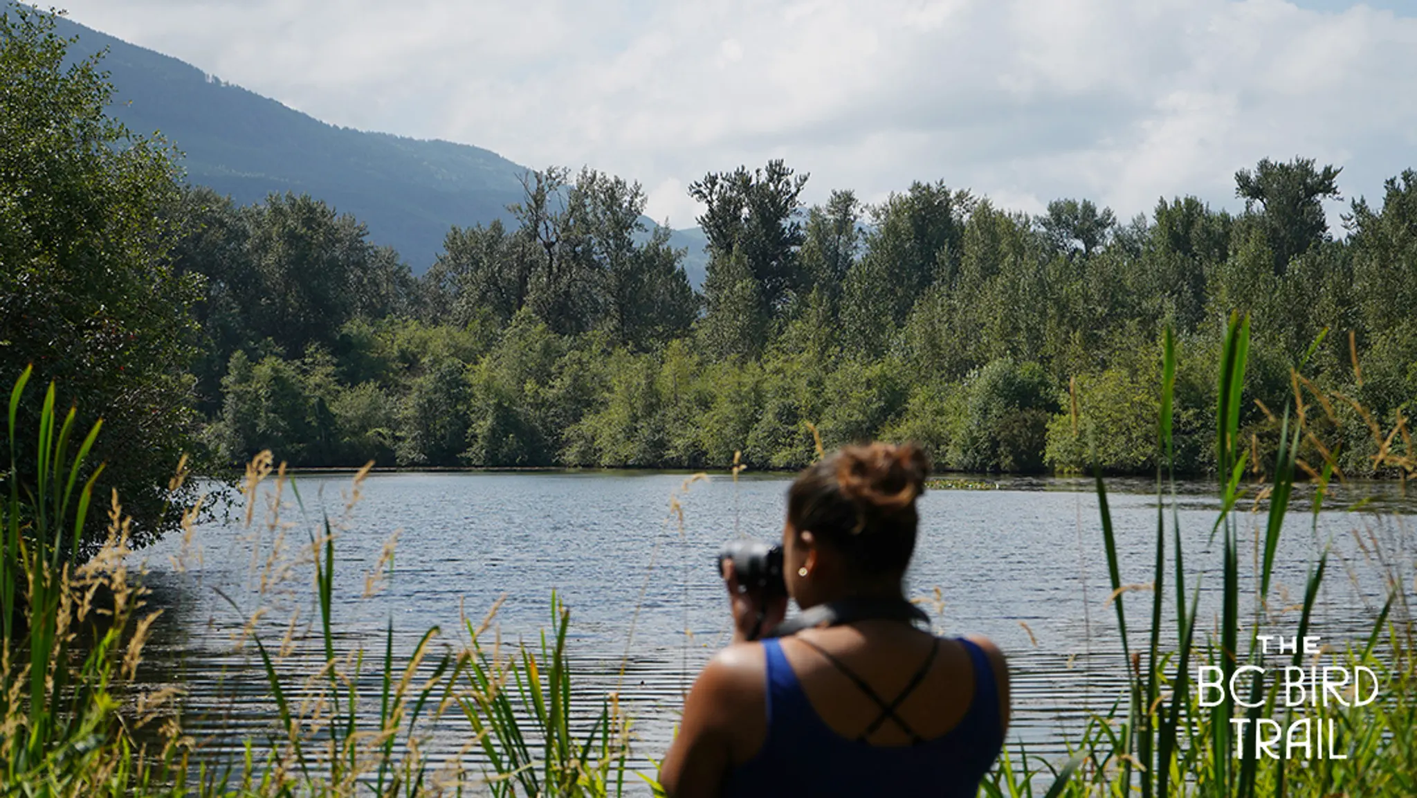 Woman looking through a spotting scope at Great Blue Heron Nature Reserve in Chilliwack