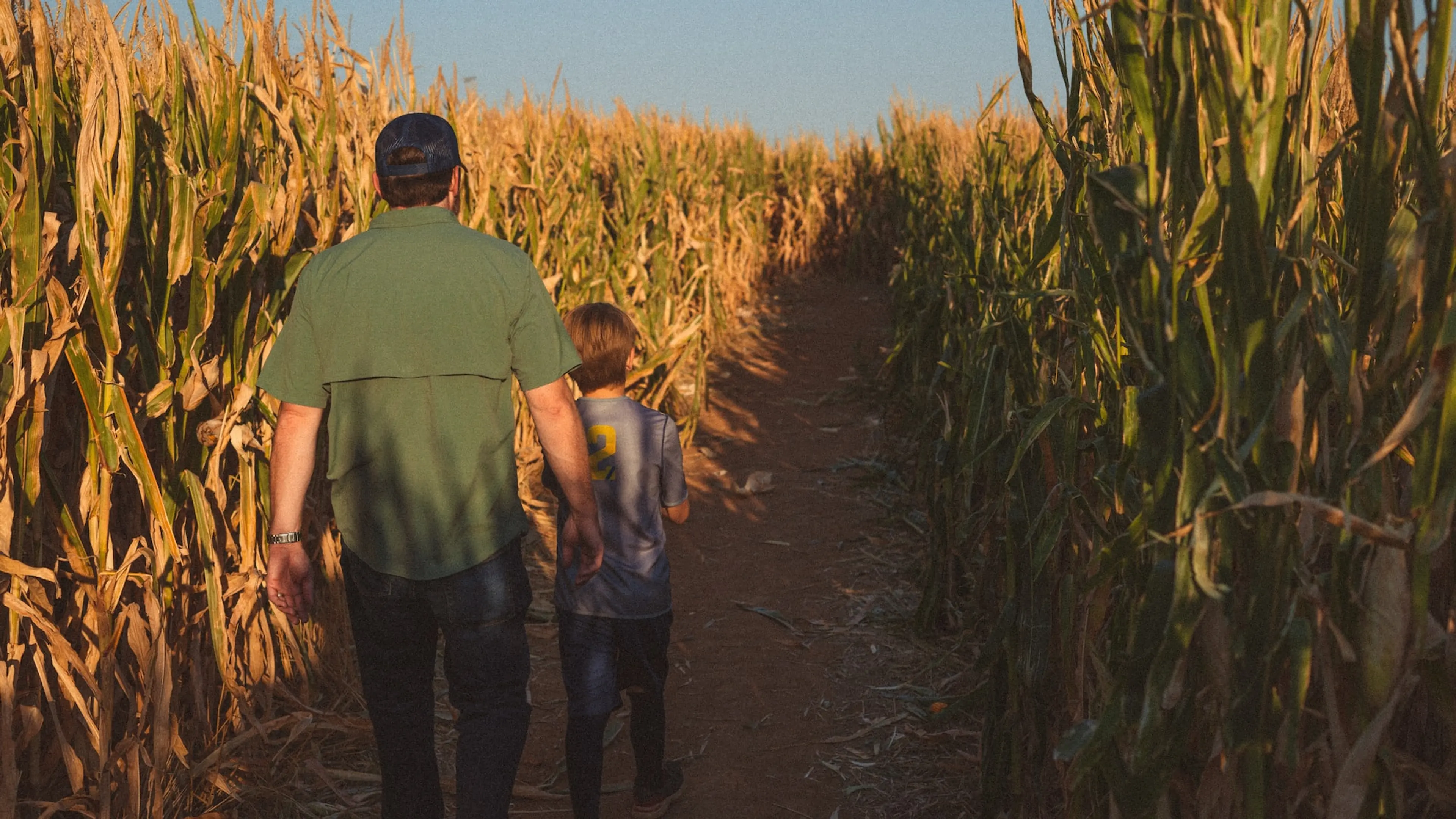 6 Corn Mazes Near Vancouver You Can Visit in Fall 2022