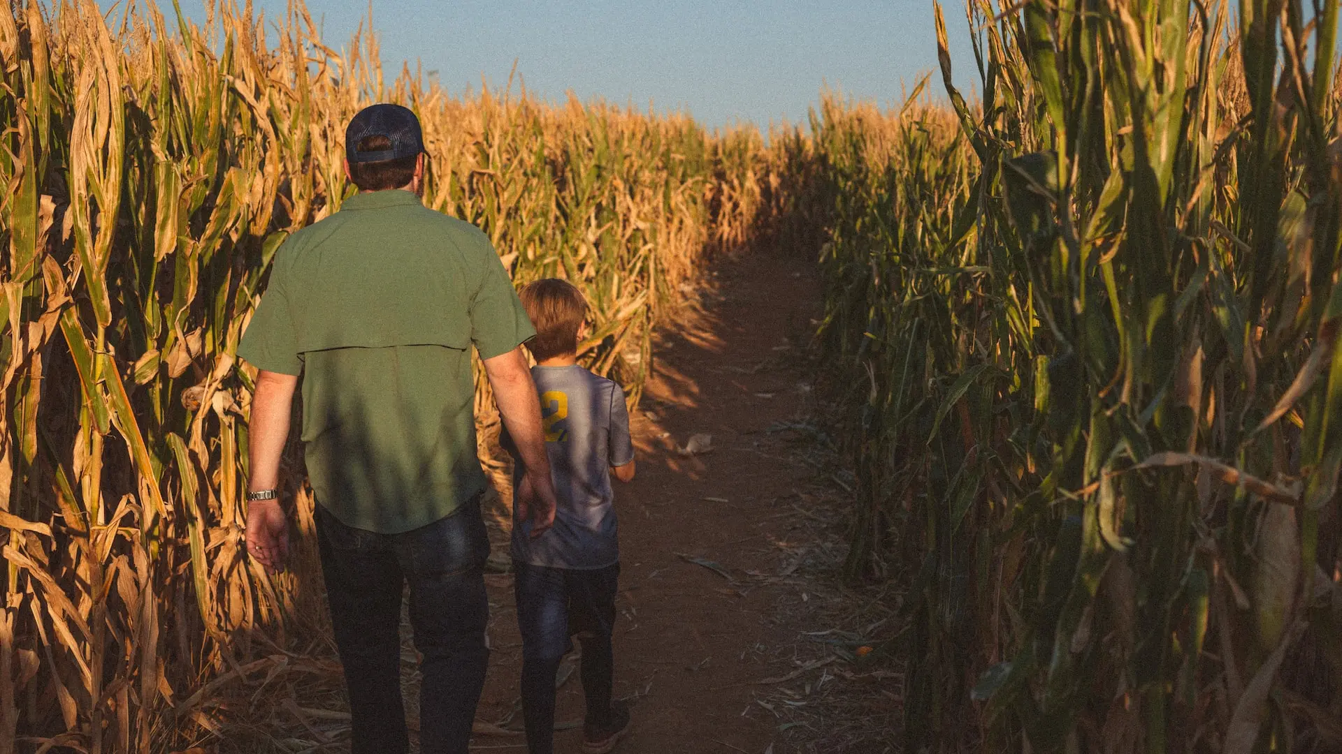 6 Corn Mazes Near Vancouver You Can Visit in Fall 2022