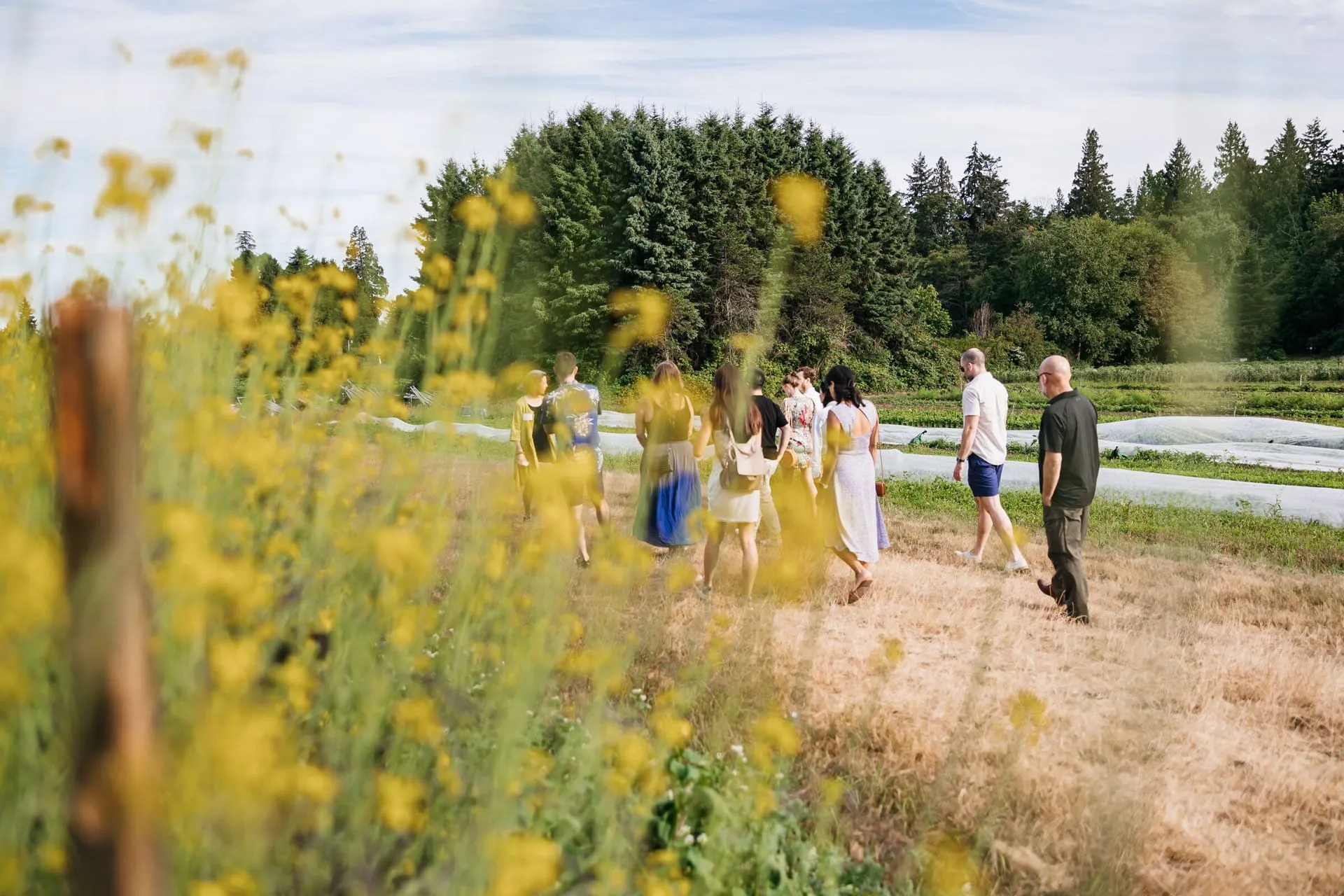 Destination Vancouver image